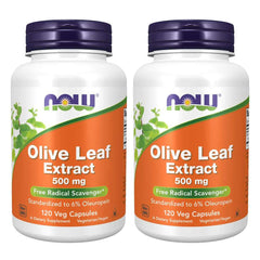 NOW Foods Olive Leaf Extract 500mg bottle displayed for daily wellness.