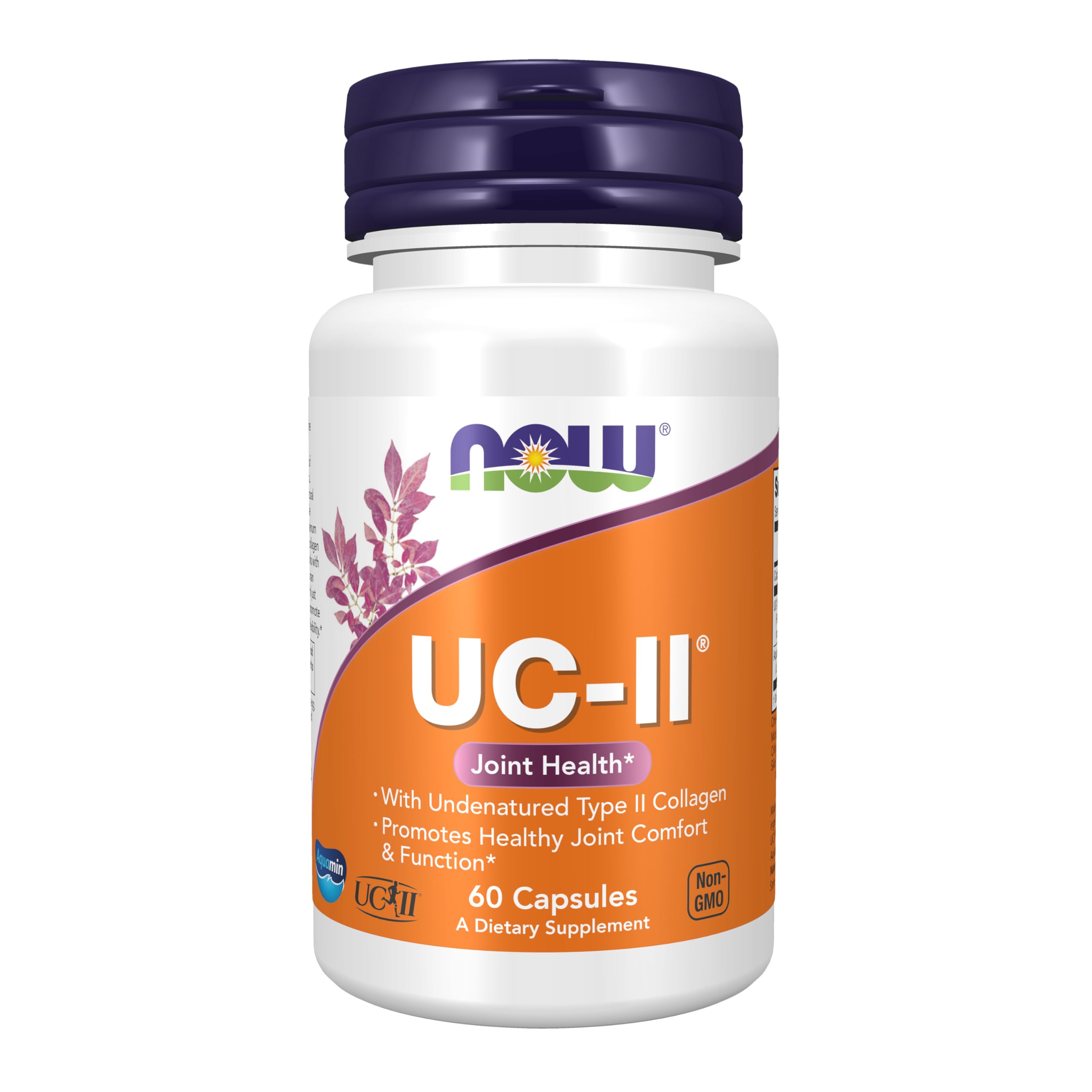 NOW Foods UC-II bottle front indicating trusted joint support for daily activity.