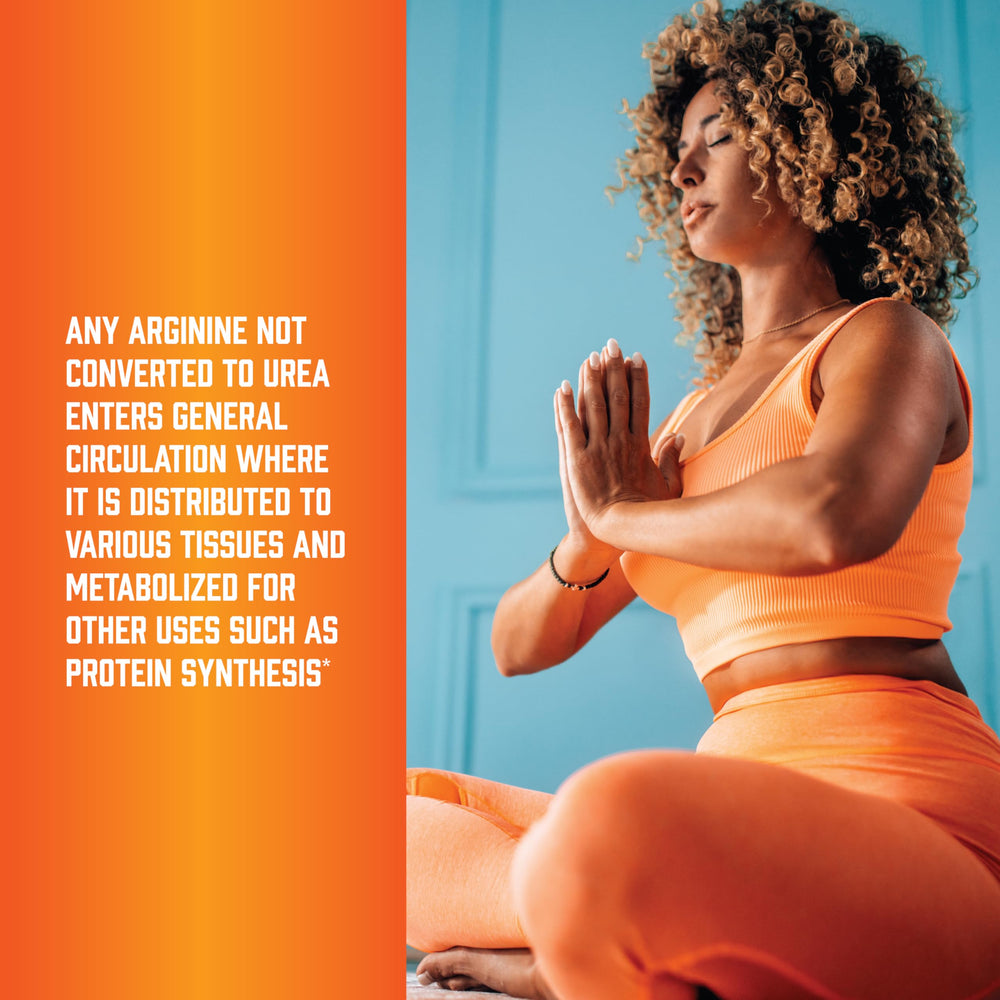 NOW Foods vegetarian capsules offer a meatless option for amino acid support.