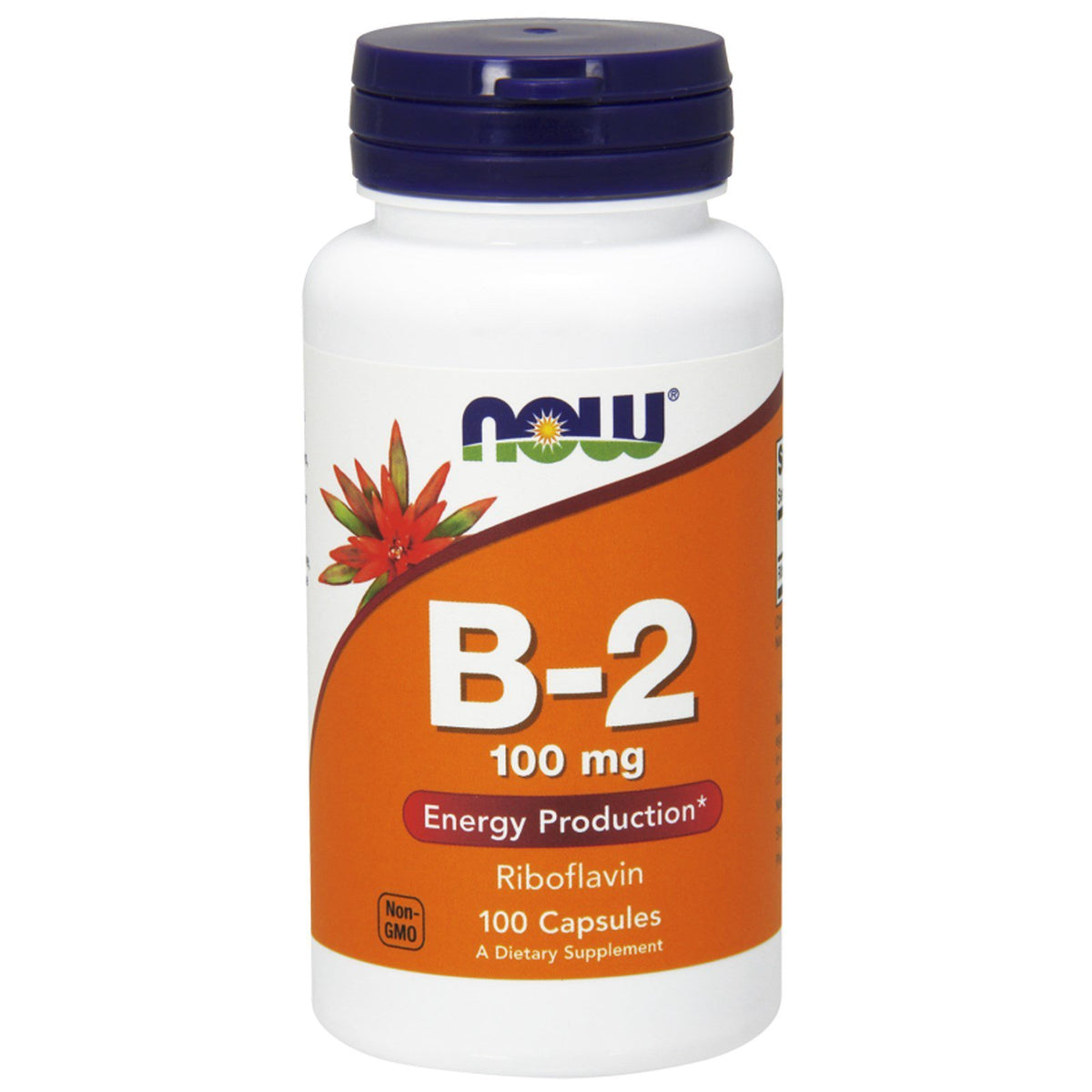 NOW Foods B-2 riboflavin bottle 2-pack close-up showing packaging for energy support.