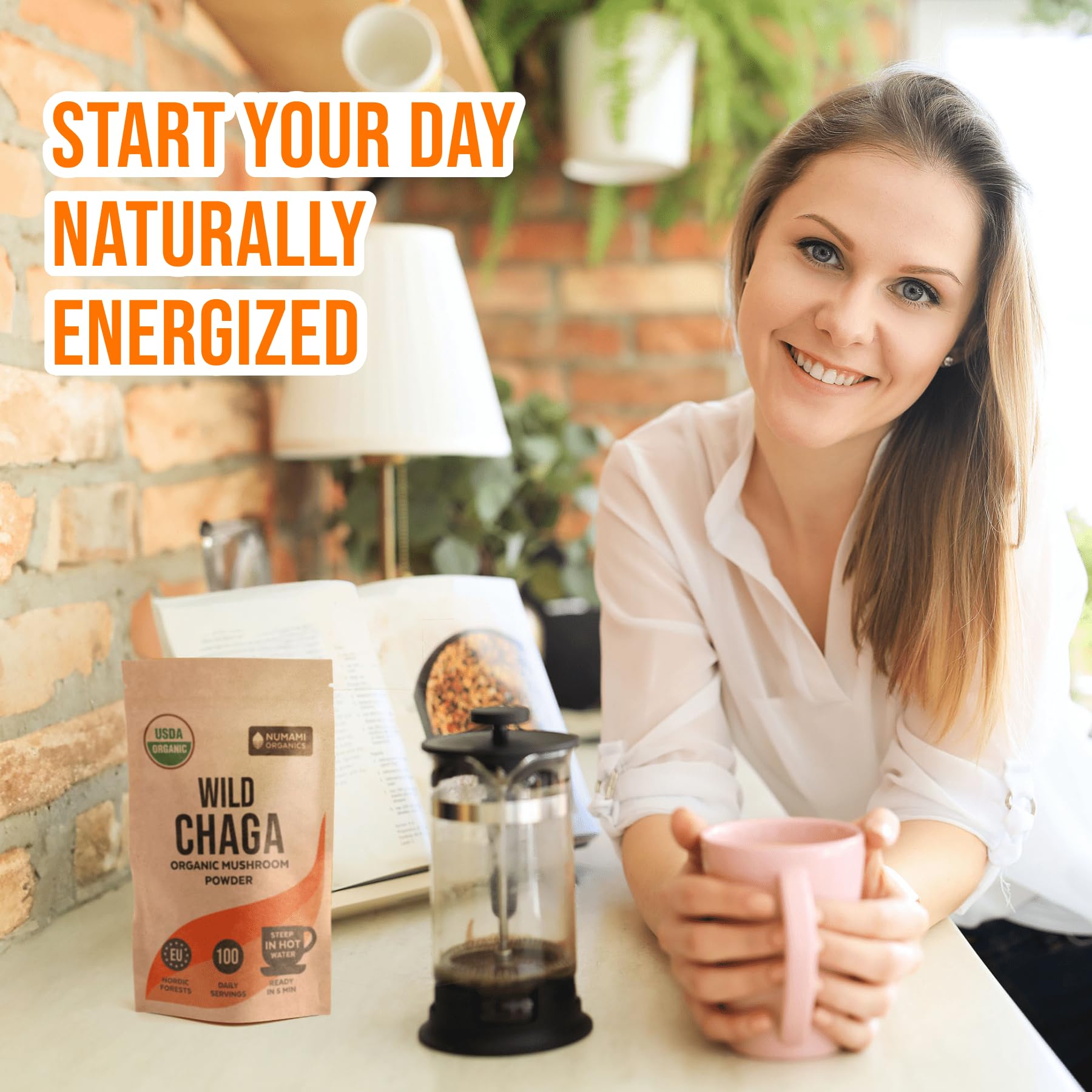 Numami Chaga Powder air-dried with outer crust preserved