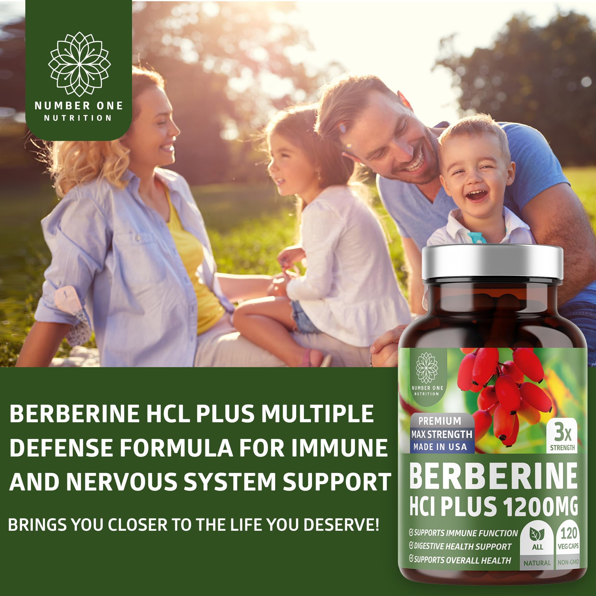 Ingredients panel on Number One Nutrition N1N Premium Berberine Plus box highlights antioxidant potential
