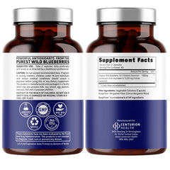 Number One Nutrition Wild Blueberry Extract 10:1 concentrate label highlights polyphenol potency