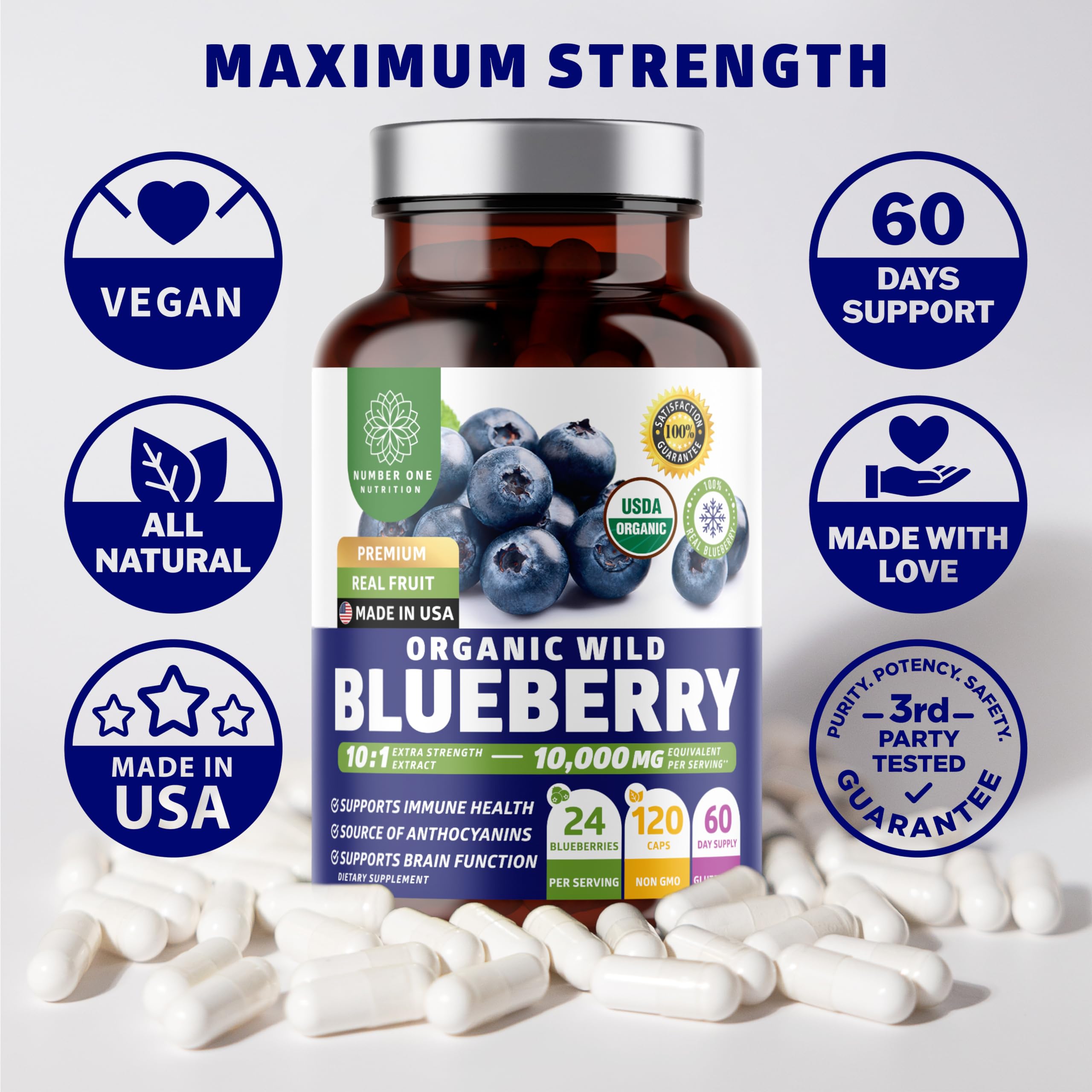 Number One Nutrition Wild Blueberry Extract daily-use bottle shot supports routine wellness