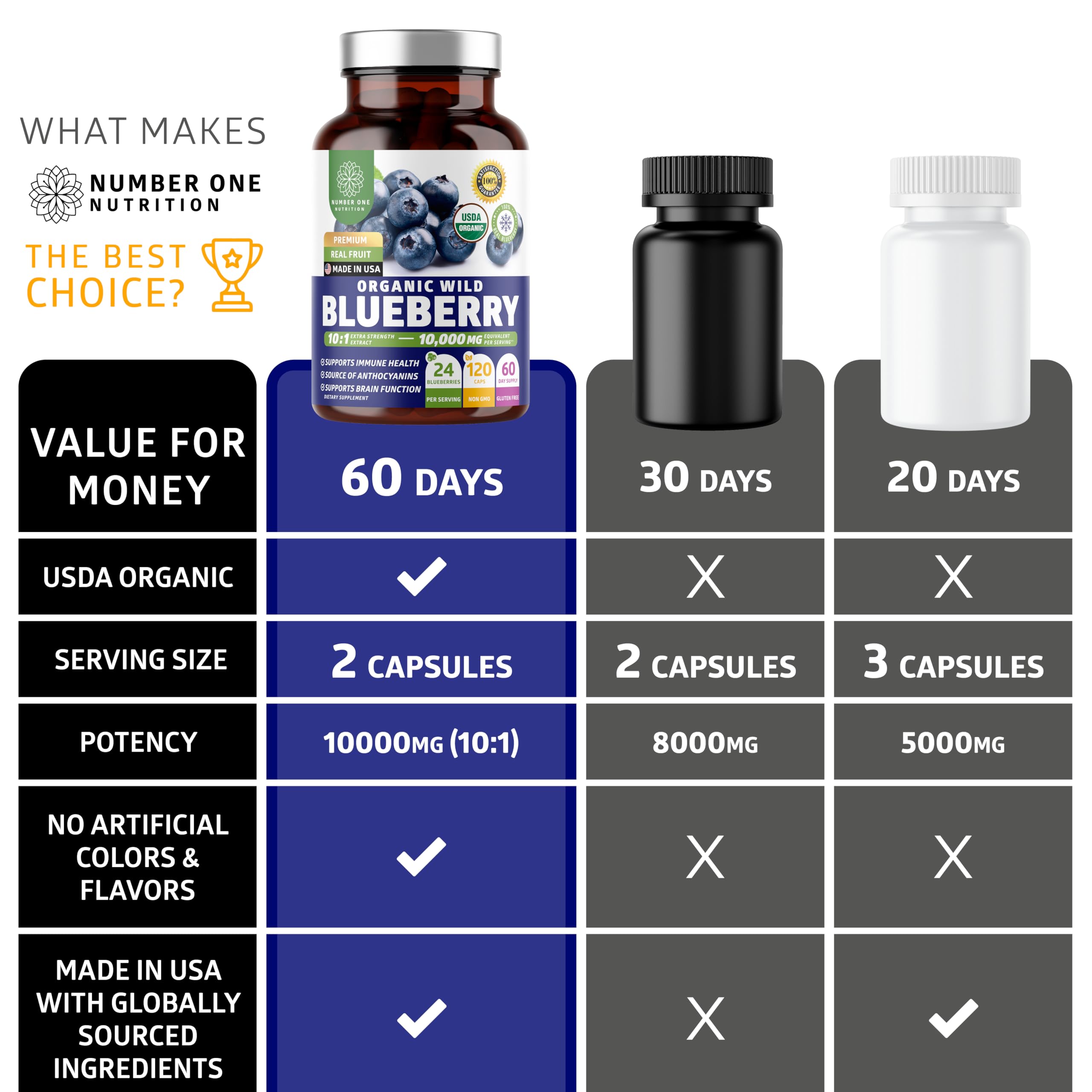 Number One Nutrition Wild Blueberry Extract polyphenols graphic emphasizes natural antioxidants