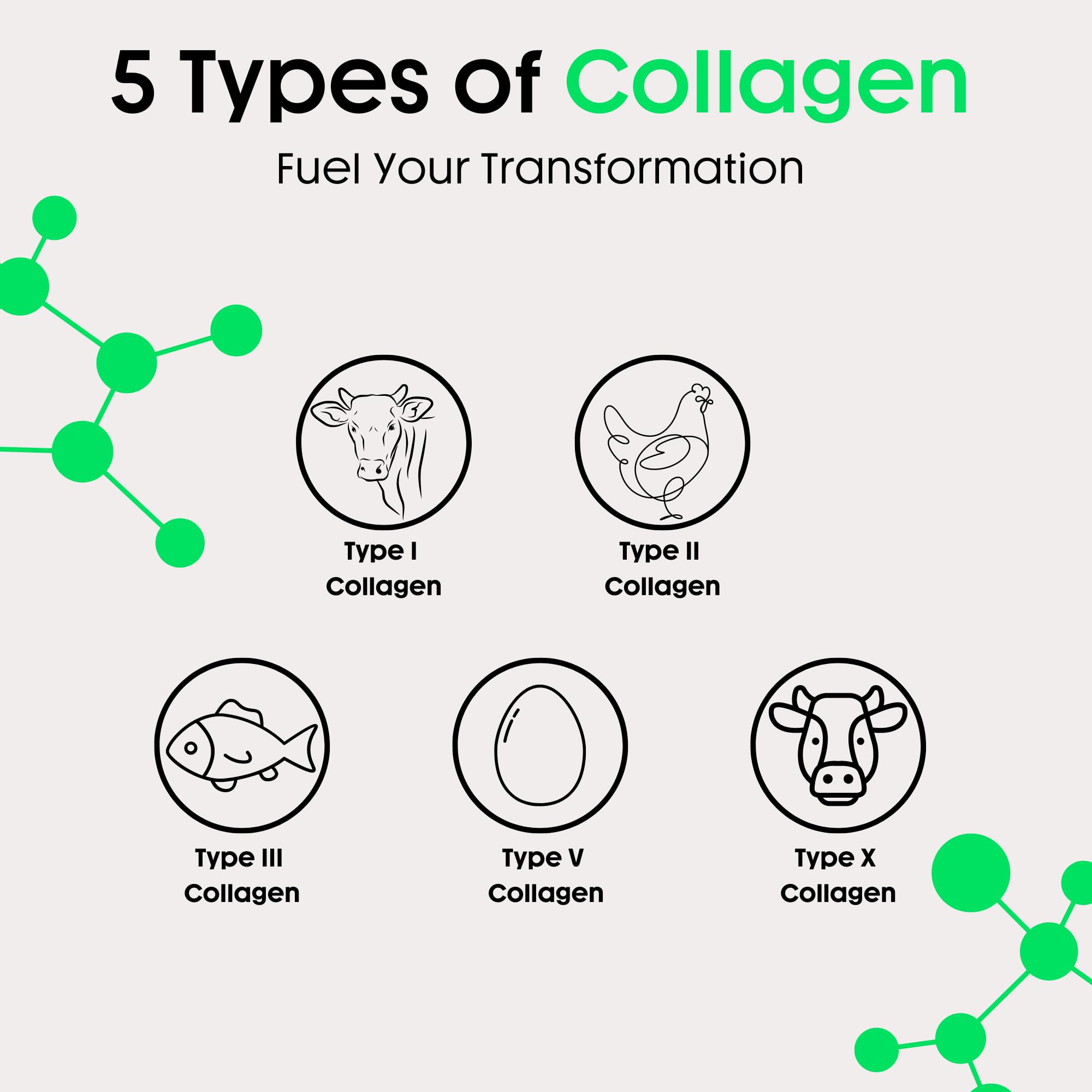 Green tea ingredients highlight metabolism-boosting components in Nuray Collagenic Burn Elite.