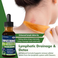 Nurbetoxa Cleavers Drops pour demonstrates convenient, fast-acting liquid delivery.