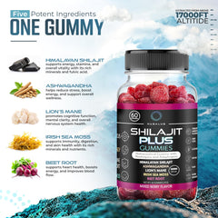 Nusalus gummies bottle interior showing vegan formula for busy days.