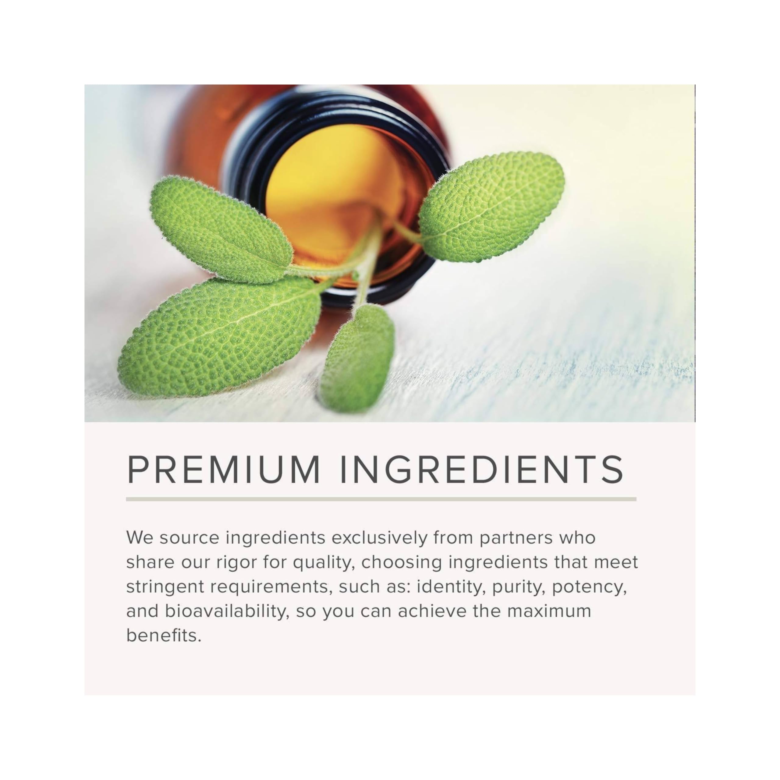 NusaPure Bilberry Extract bottle displays vegan non-GMO seals