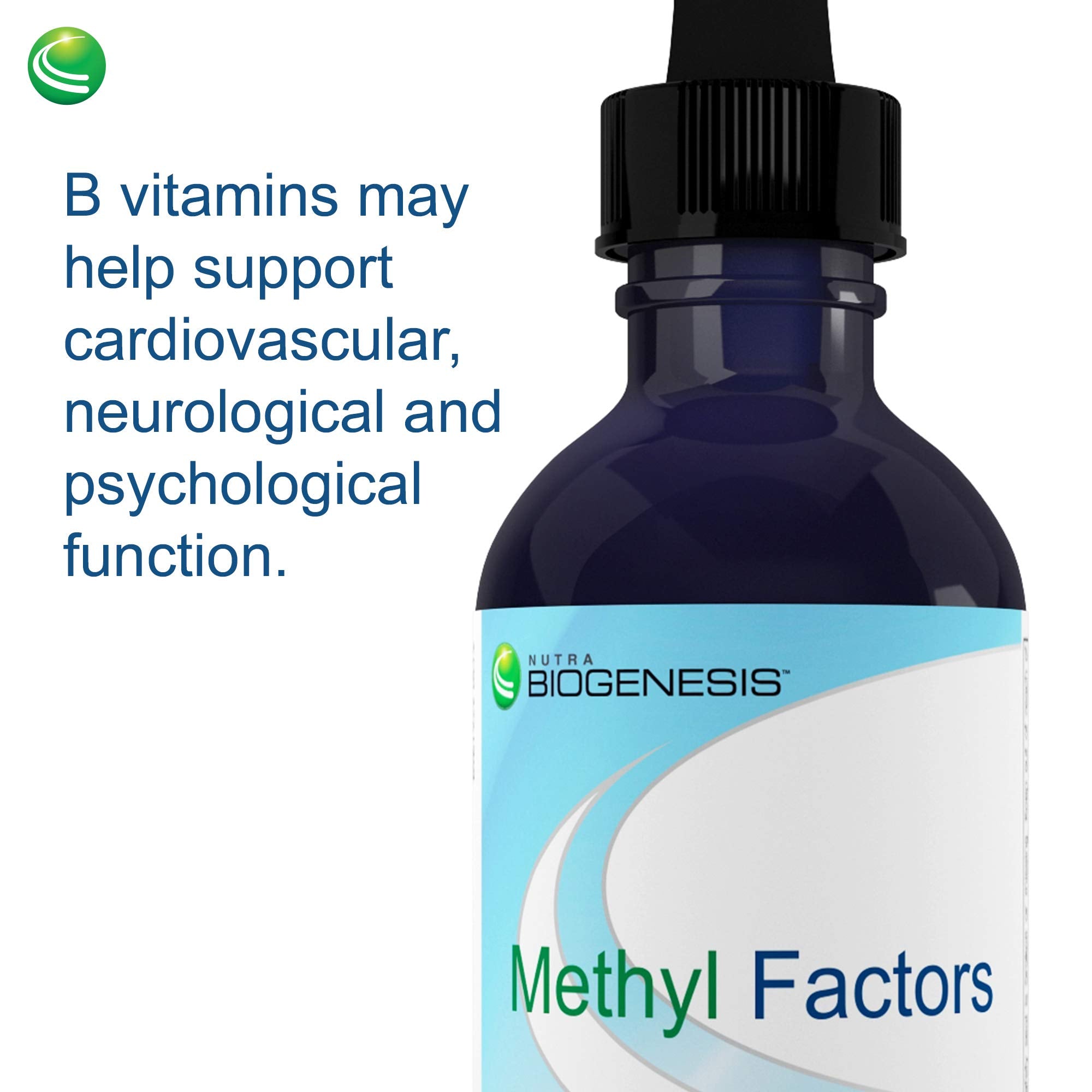 Label close-up of Nutra Biogenesis Methyl Factors highlighting ingredients