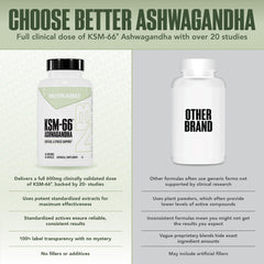 NutraBio Ashwagandha KSM-66 bottle on desk suggesting sustained energy