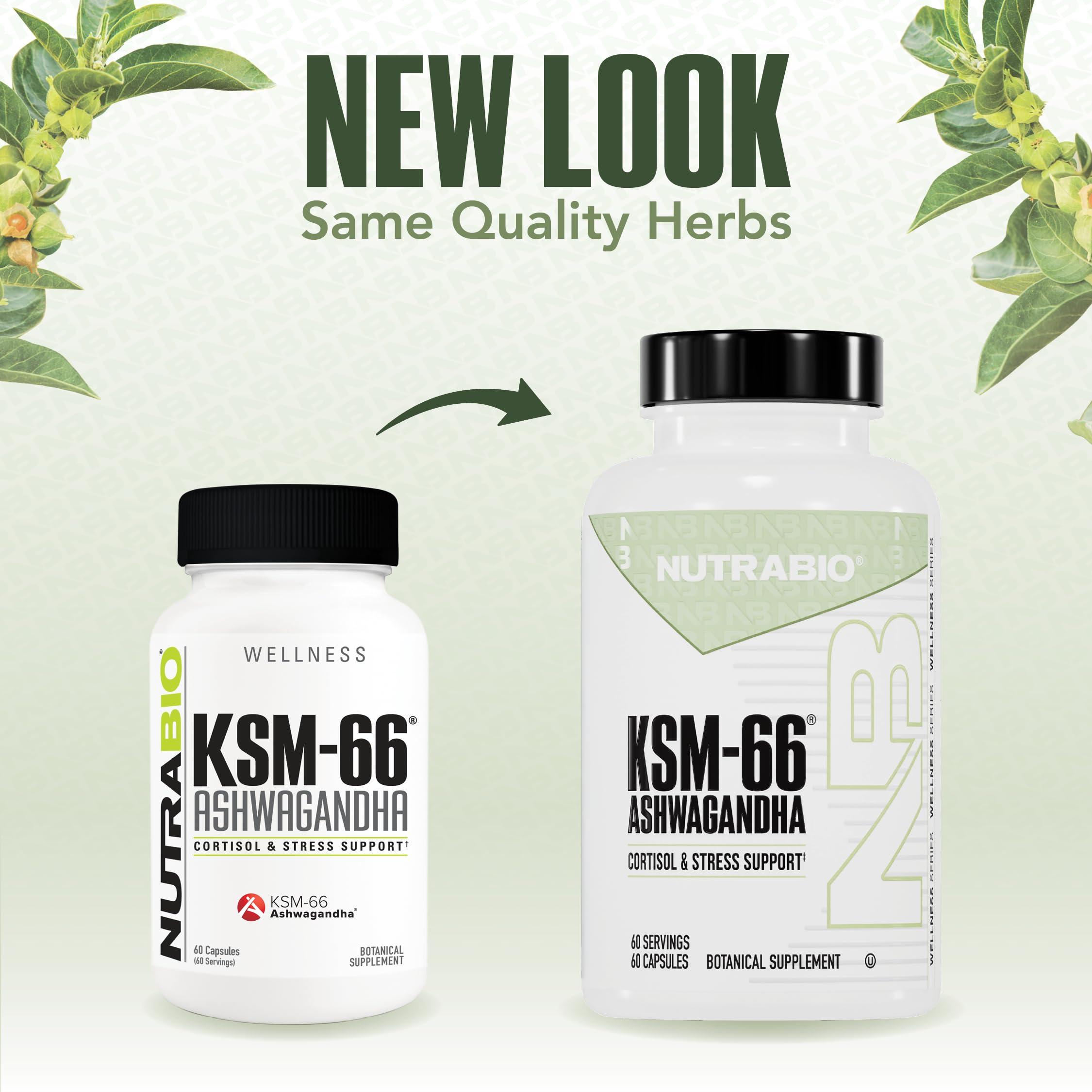 NutraBio Ashwagandha KSM-66 third-party tested seal close-up
