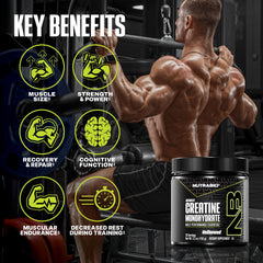 NutraBio pure micronized creatine scoop shown for daily serving