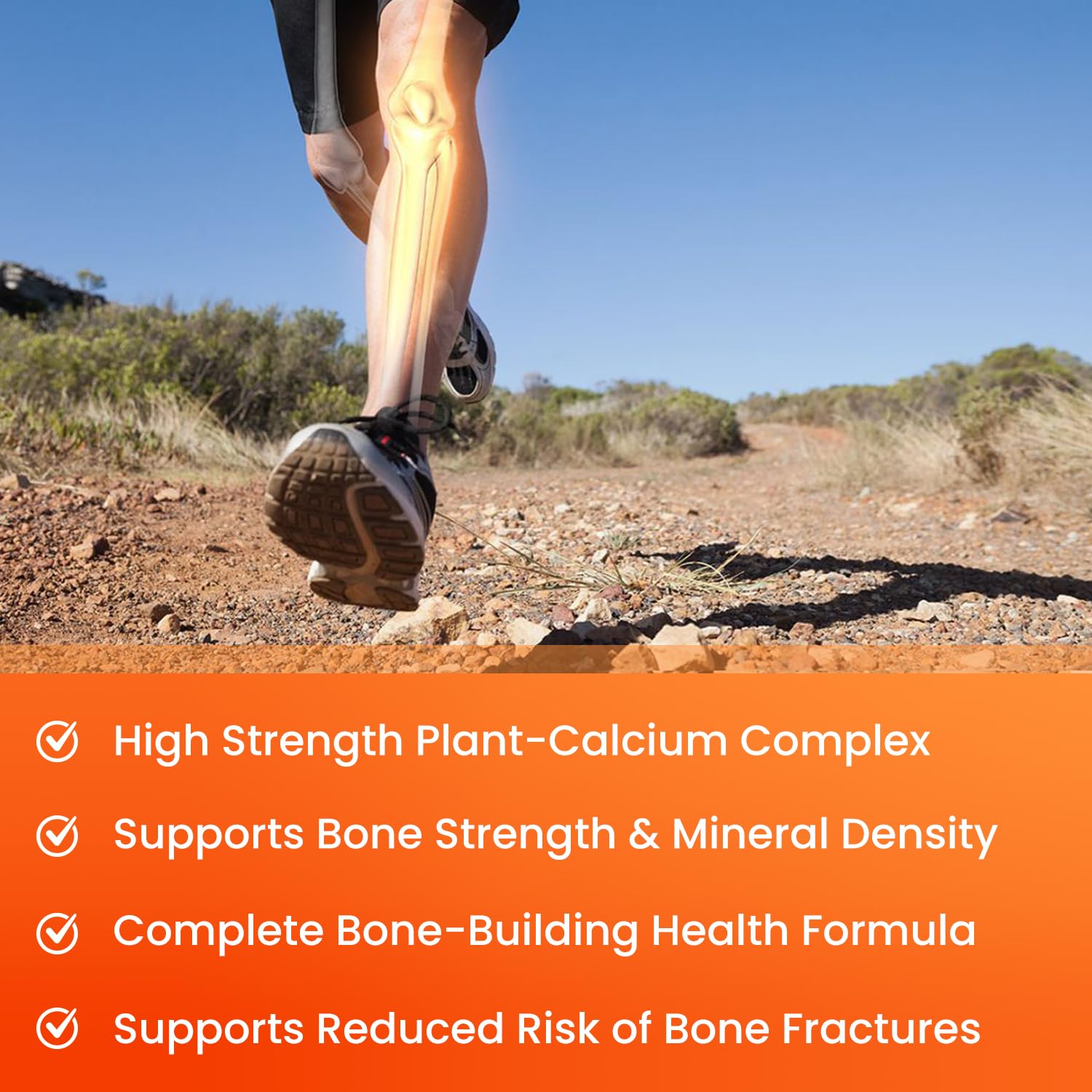 NutraChamps D3 and K2 cofactors panel highlighting absorption support.