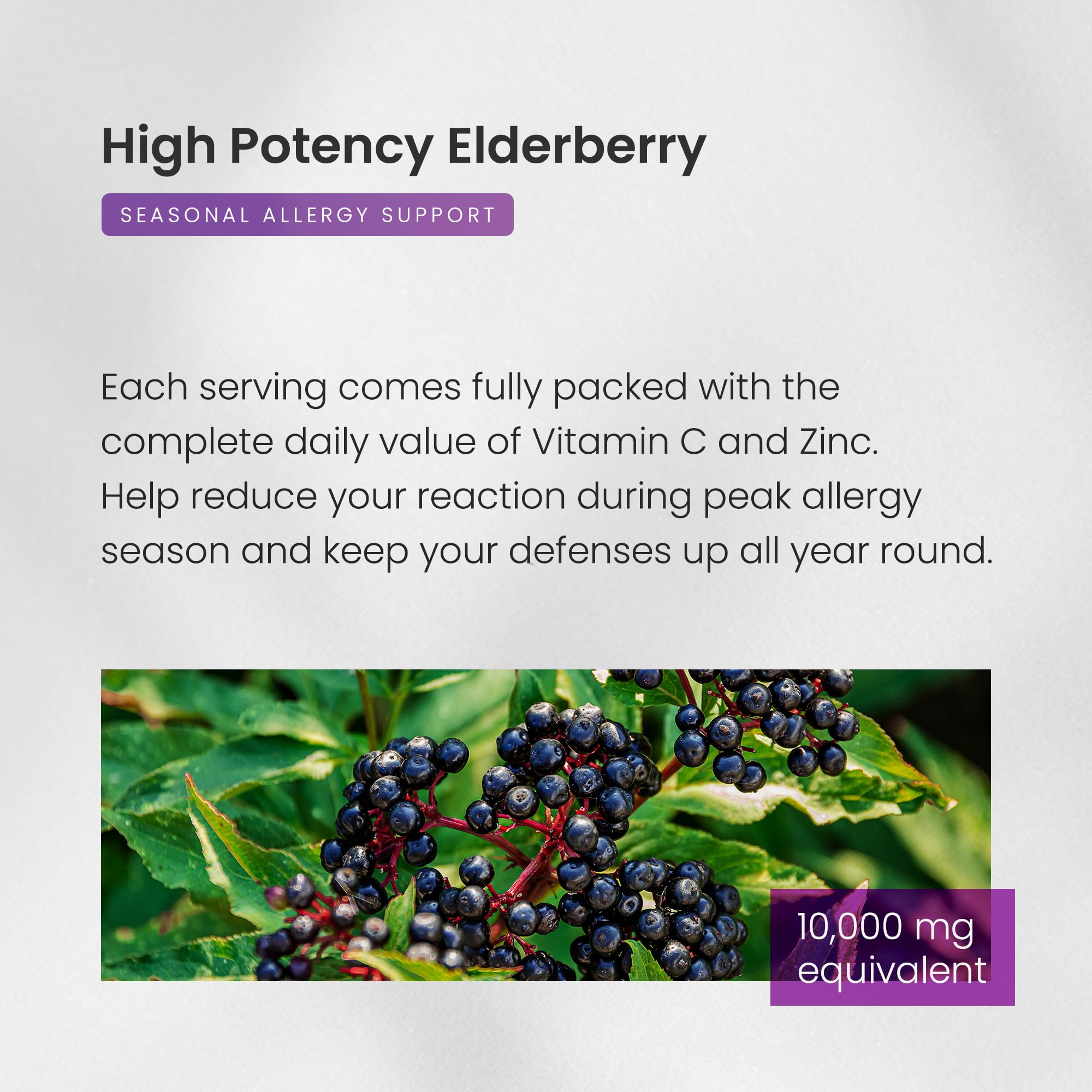 NutraChamps elderberry 5in1 bottle on desk ready for everyday wellness.