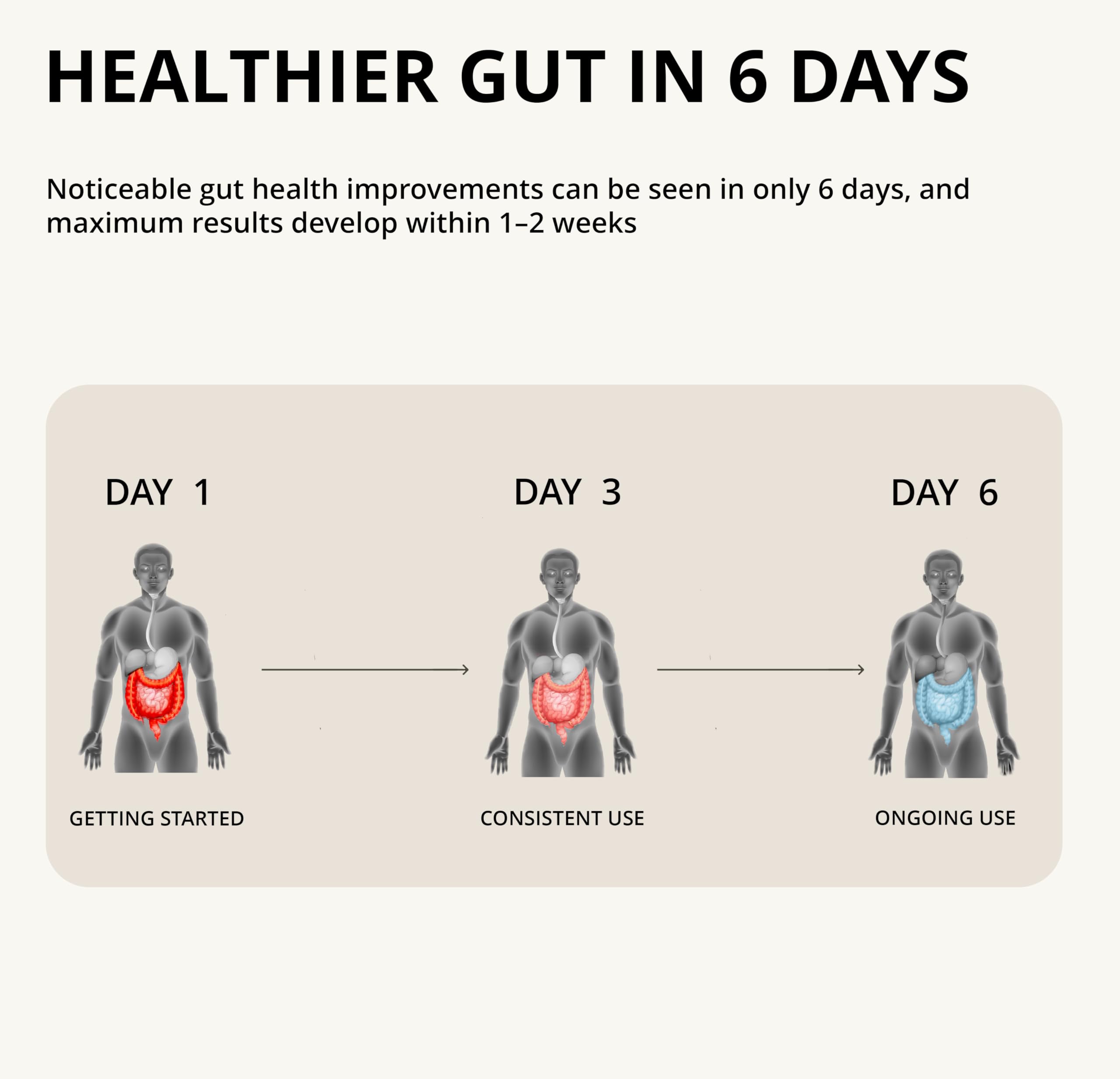 Nutragenis Akkermansia Muciniphila daily routine image emphasizes simple, consistent use.