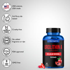 Packaging open view with Nutragenis Urolithin A softgels ready for daily use.