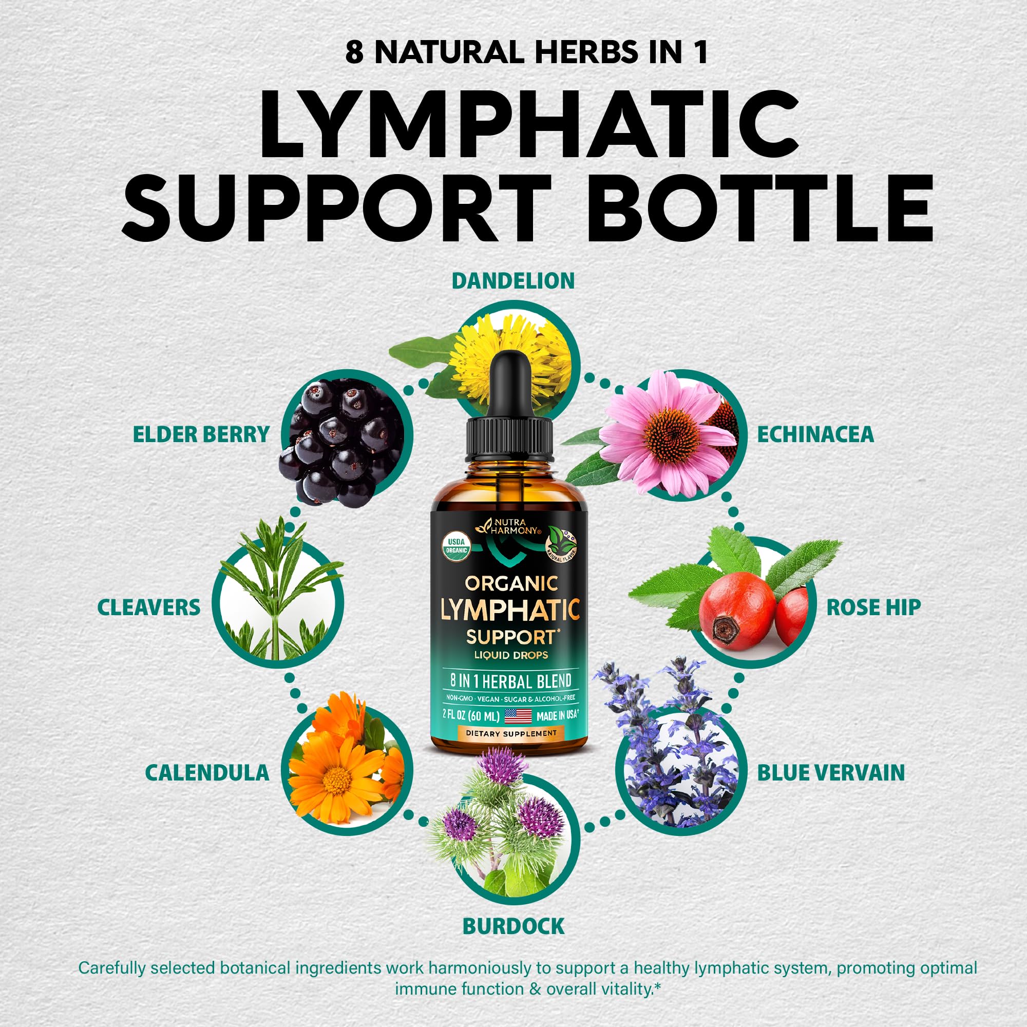 NutraHarmony Lymph Drops close-up of drops conveys pure, alcohol-free botanical goodness