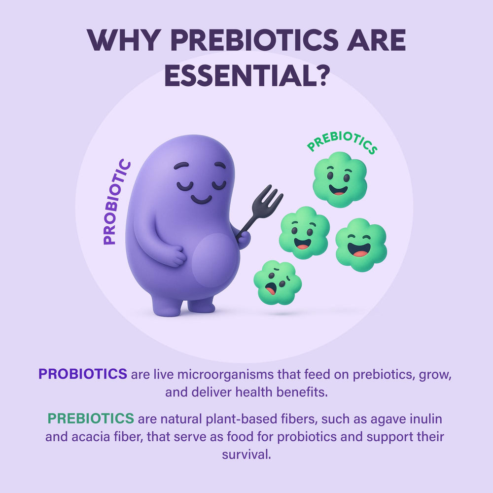 NutraHarmony vaginal balance flora illustration communicates harmony and daily wellness
