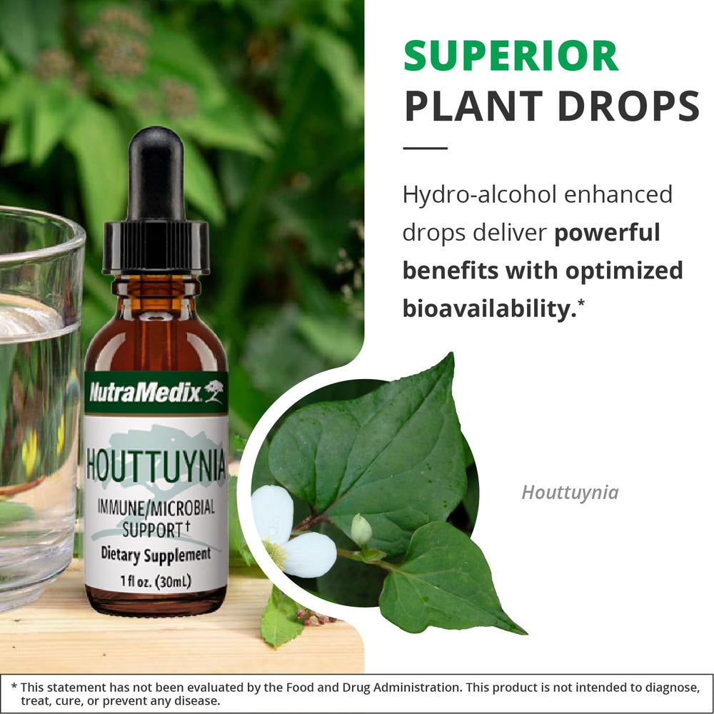NutraMedix Houttuynia glass with water illustrates simple routine integration.