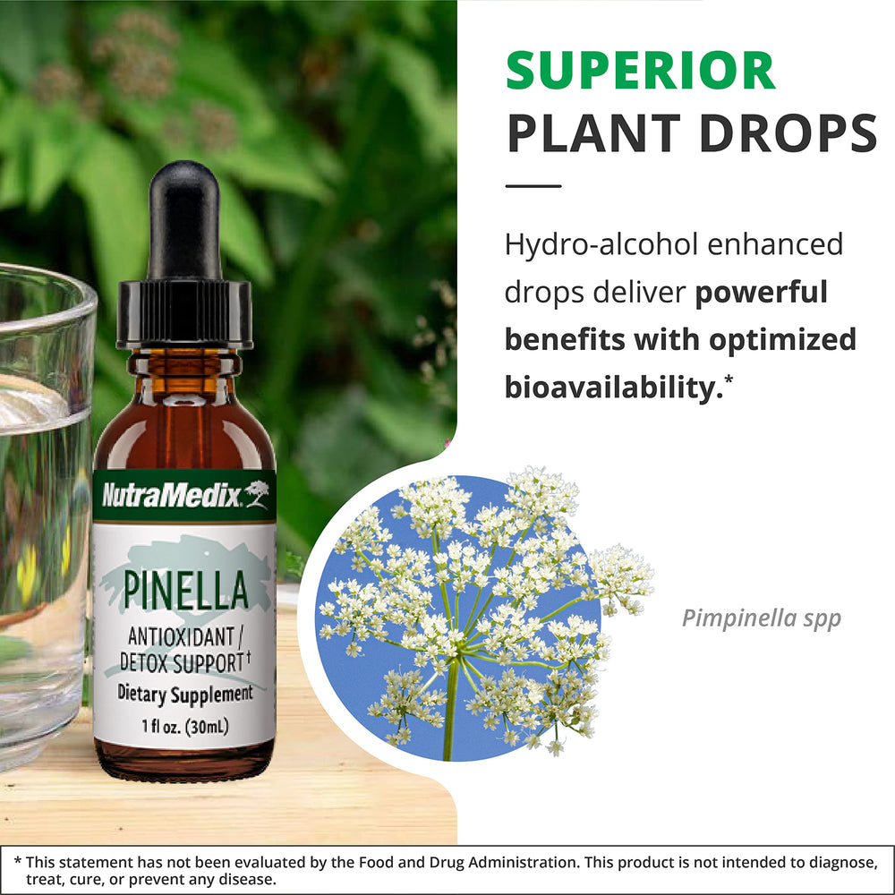 NutraMedix Pinella drops on counter conveying accessible daily detox support