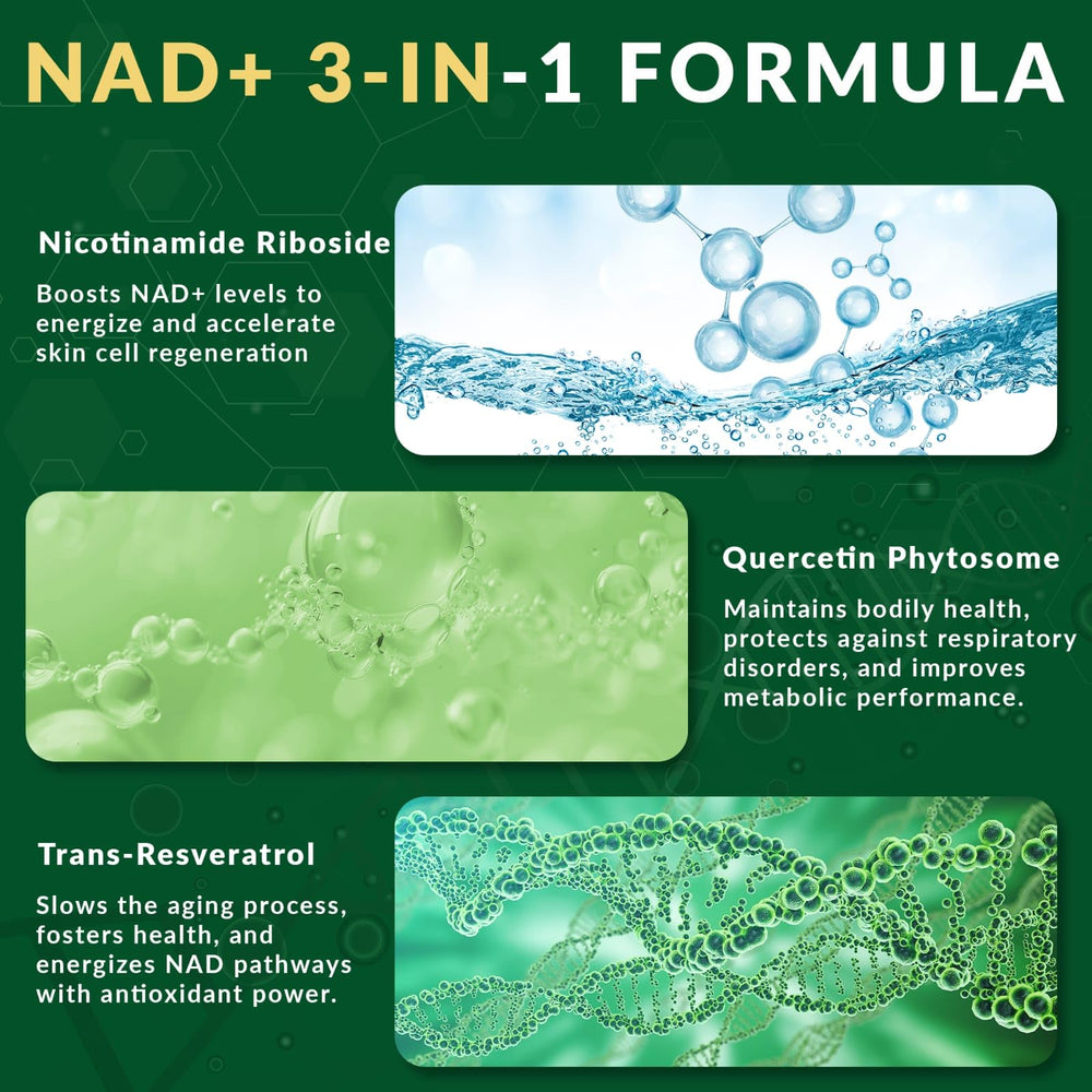 NUTRAONDA GMP-certified facility seal on packaging signaling quality and purity.