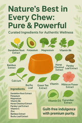 NutraPerfecto Water Retention Gummies ingredients chart featuring dandelion, parsley, and green tea