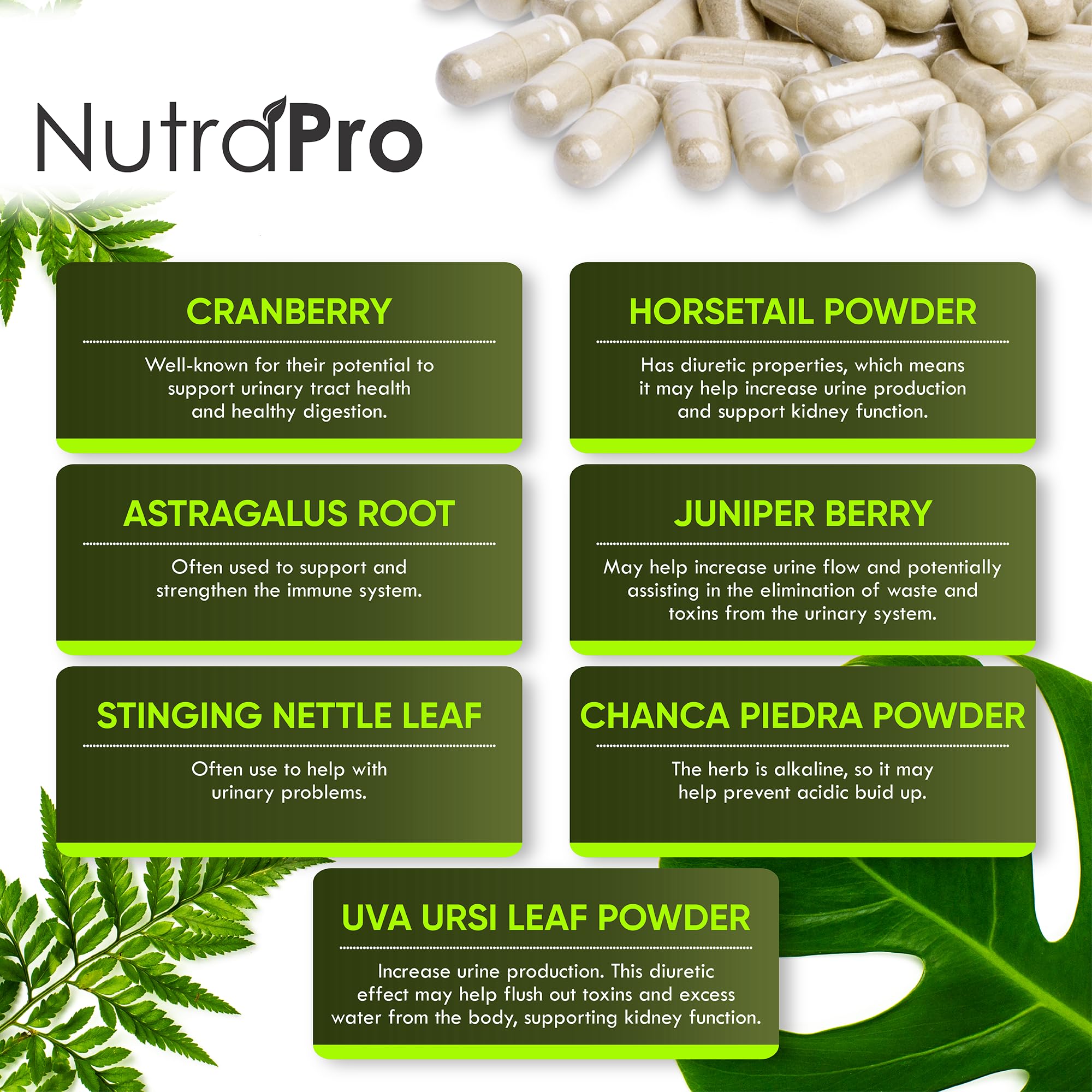 NutraPro chanca piedra ingredient signals detox synergy