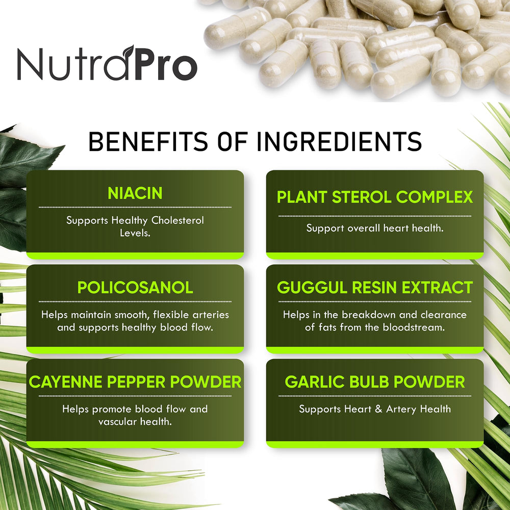 NutraPro GMP facility image signals quality manufacturing