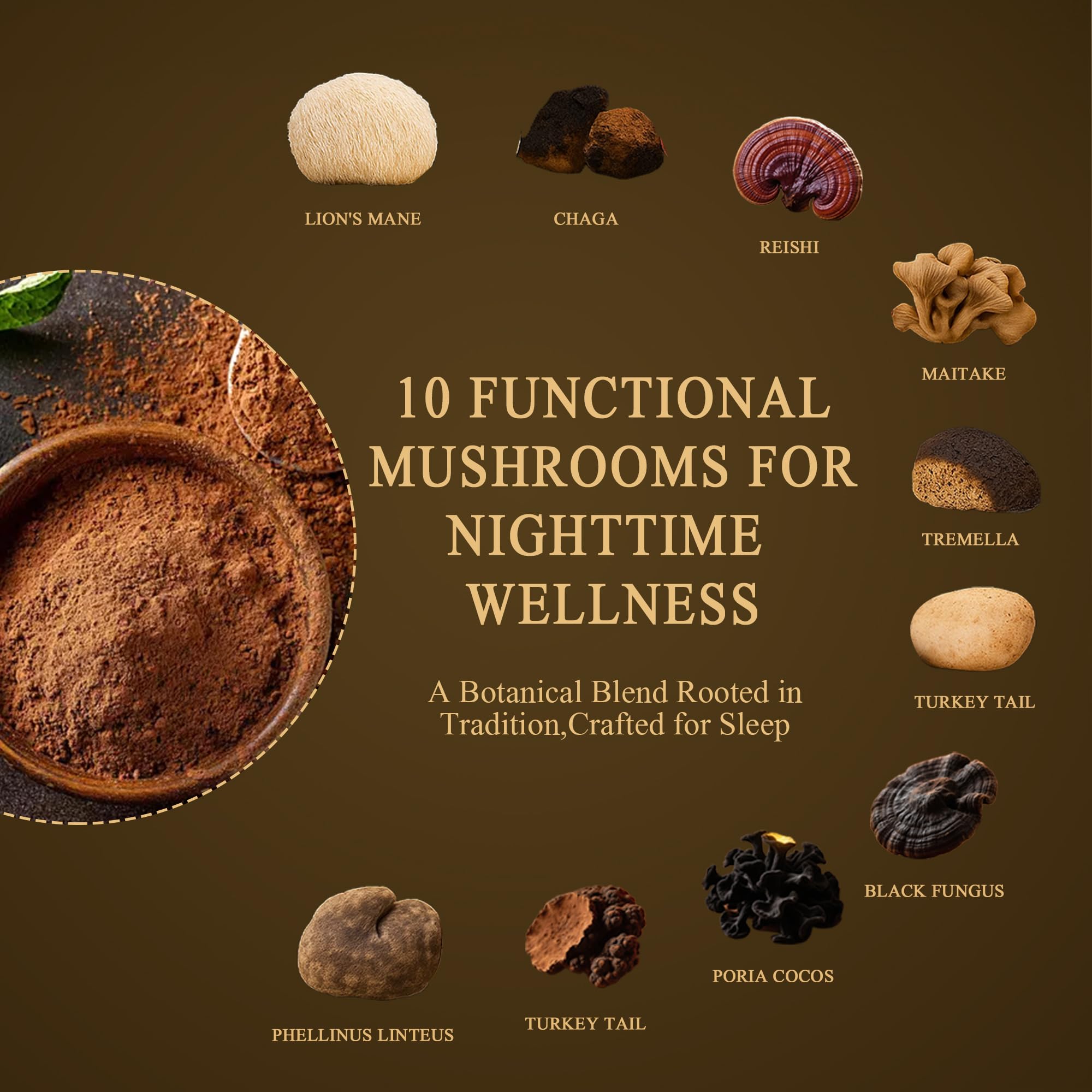 Nutrataste Lions Mane Reishi Chaga visual conveys cognitive support and relaxation.