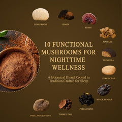 Nutrataste Lions Mane Reishi Chaga visual conveys cognitive support and relaxation.