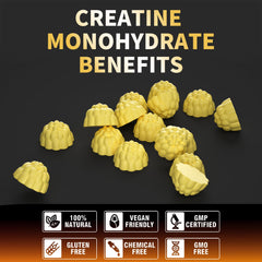 Pineapple flavor label showcases tasty option from Nutravita Creatine Monohydrate Gummies.