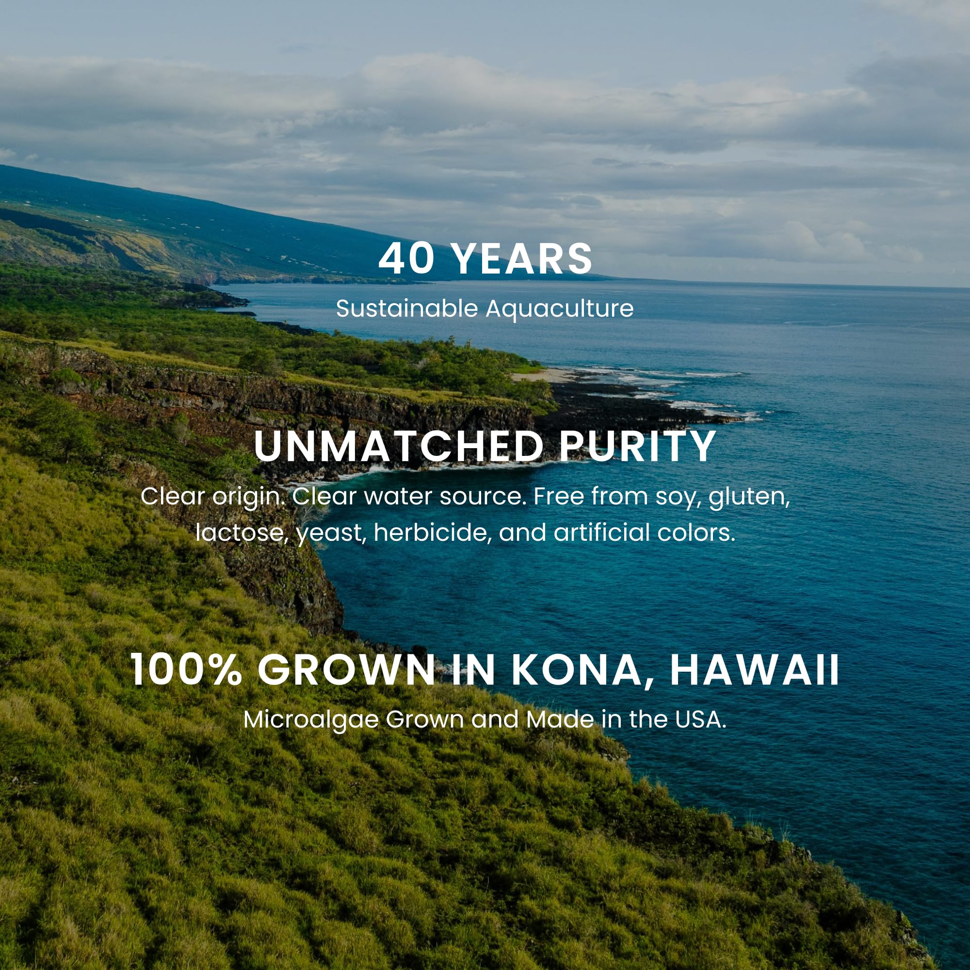 Olive oil and astaxanthin ingredients highlighting Nutrex Hawaii enhanced carotenoid absorption