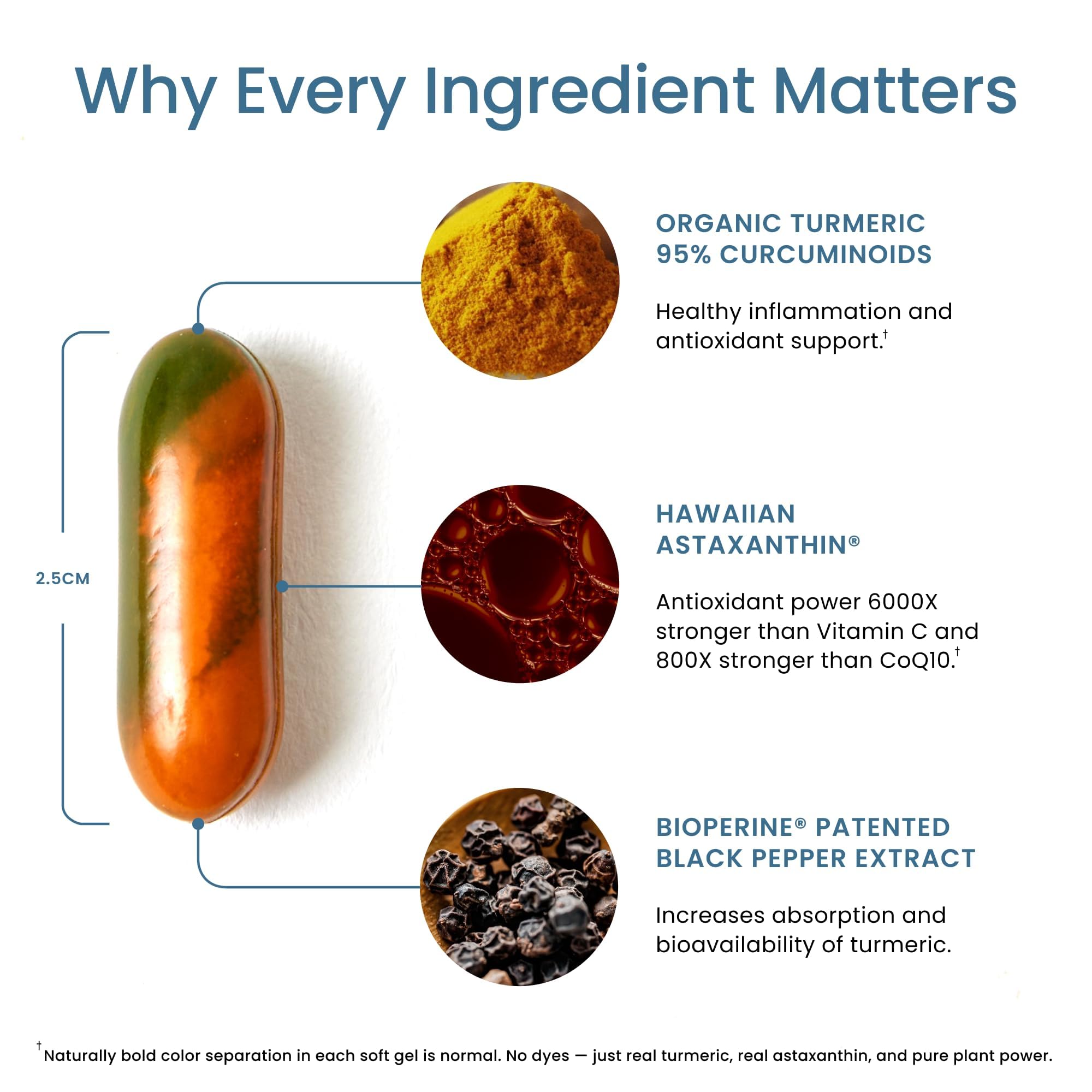 BioPerine inclusion illustrated for enhanced absorption benefits in TurmericAstin capsules.
