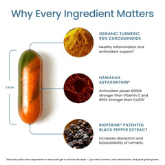BioPerine inclusion illustrated for enhanced absorption benefits in TurmericAstin capsules.
