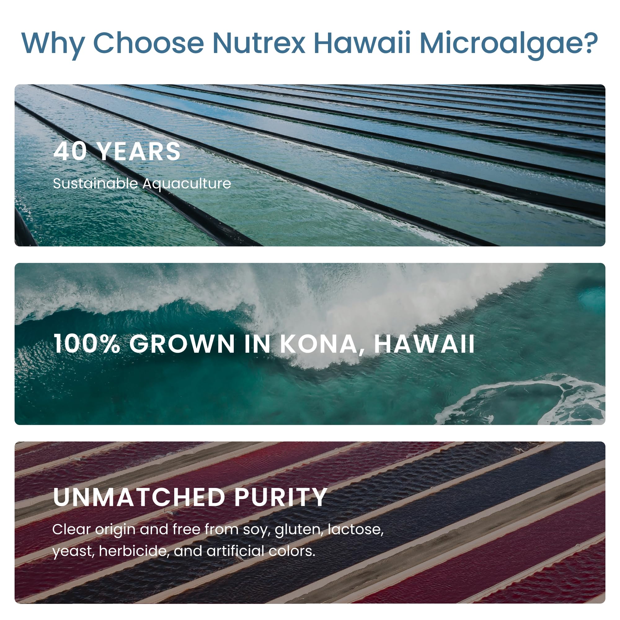 Nutrex Hawaii container label emphasizes protein richness and antioxidant nutrients.
