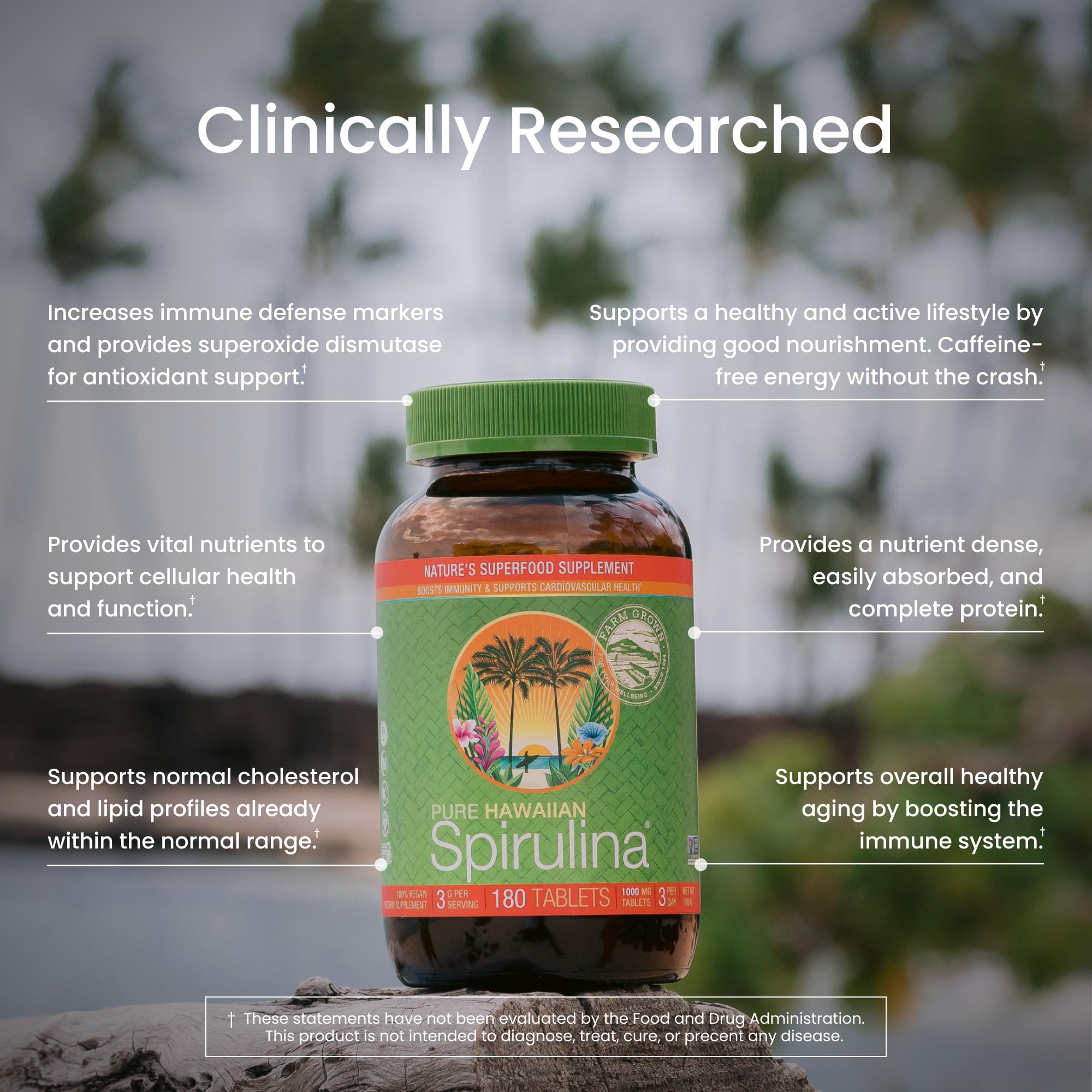 Nutrex Hawaii Kona Coast farm scene underscores carefully grown spirulina on lava fields.
