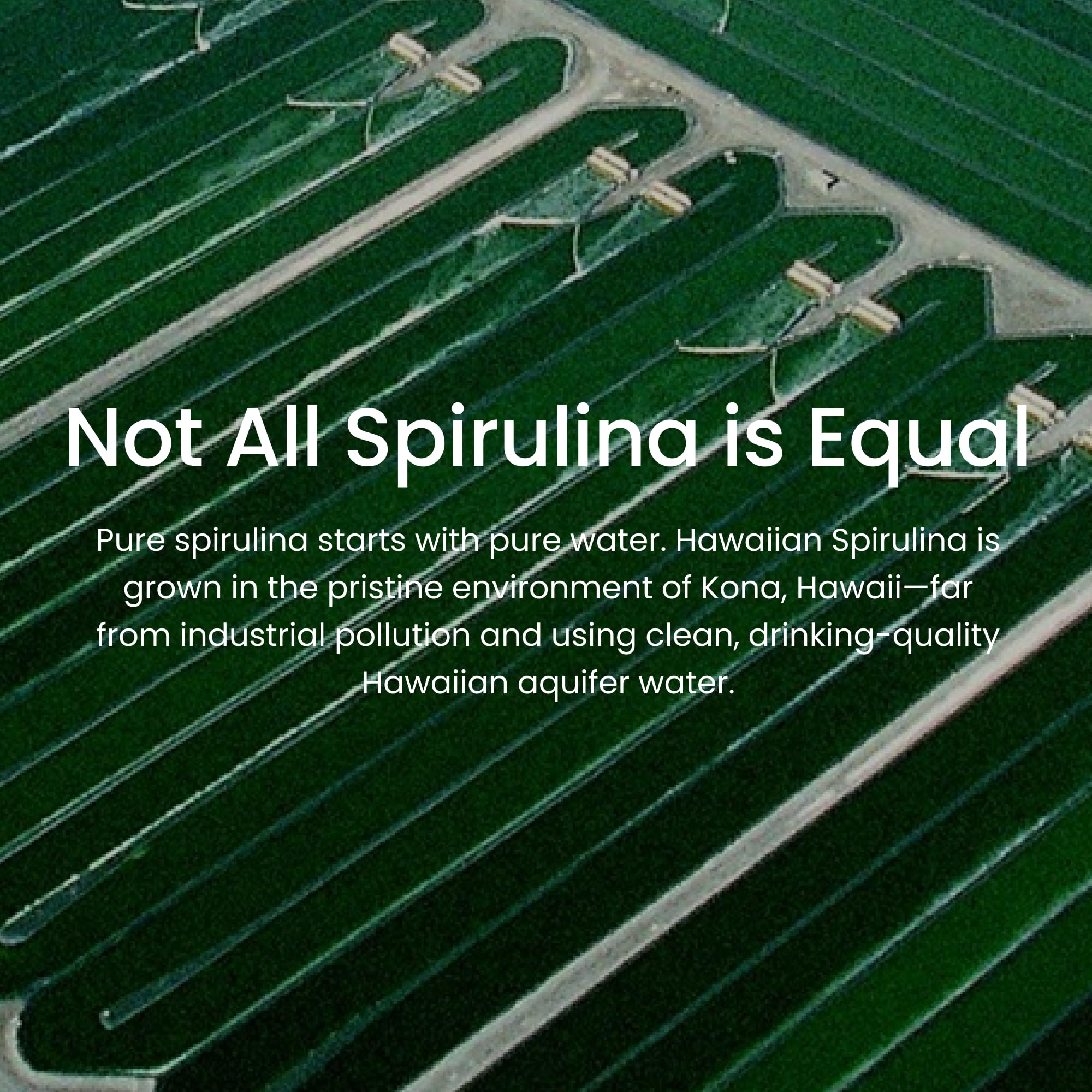 Nutrex Hawaii spirulina gummies sugar-free label appeals to calorie-conscious buyers