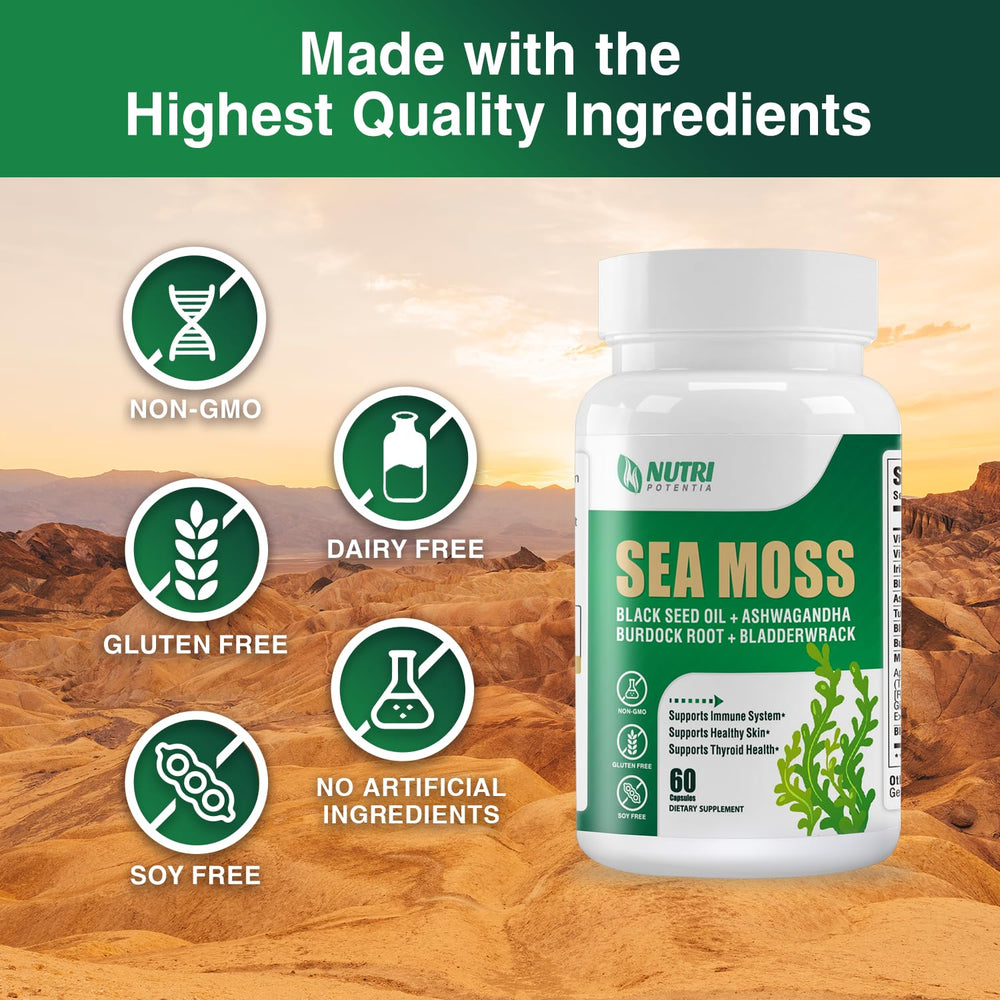 Closeup of Nutri Potentia Sea Moss Capsules