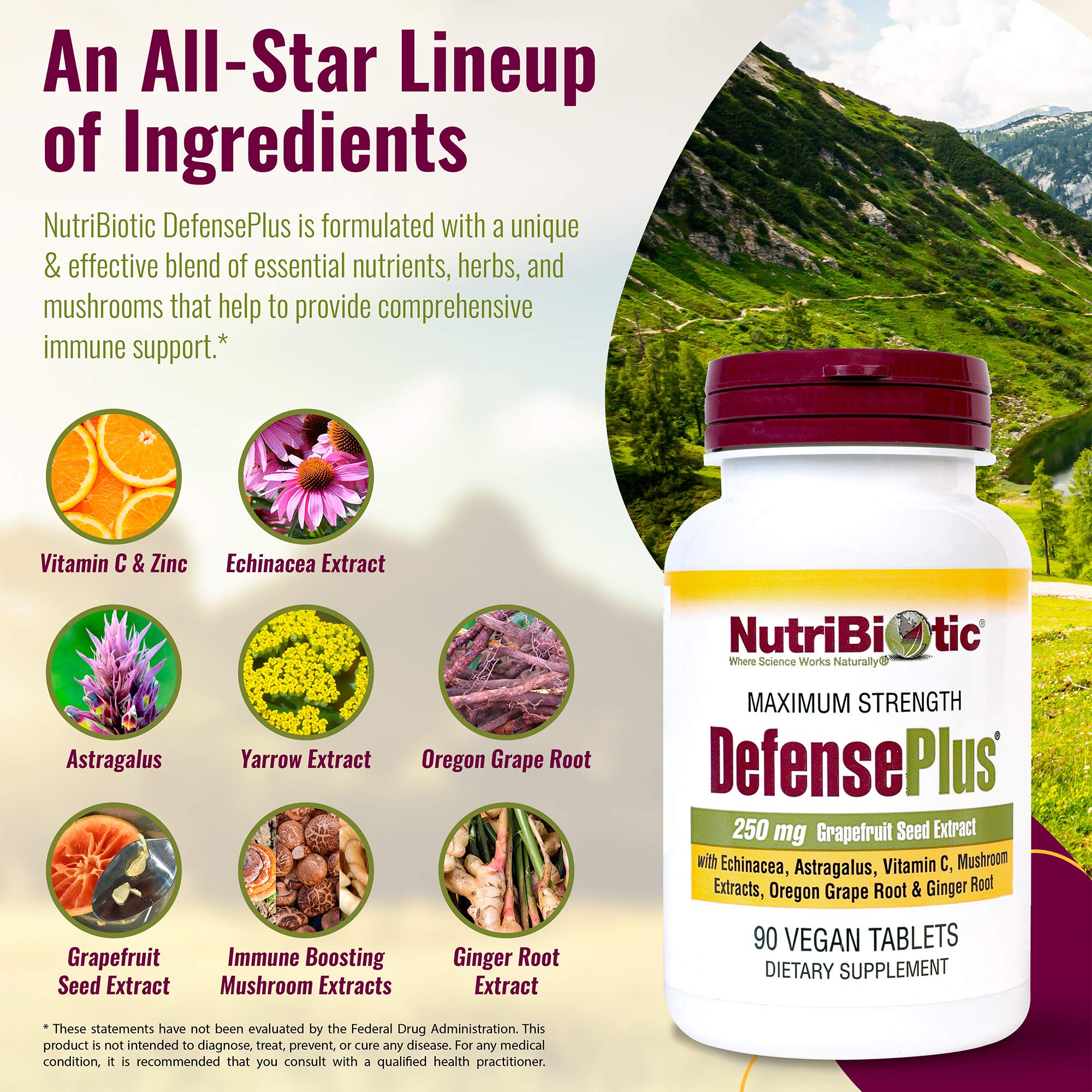 NutriBiotic DefensePlus bottle highlighting vitamin C and zinc for daily immune resilience.