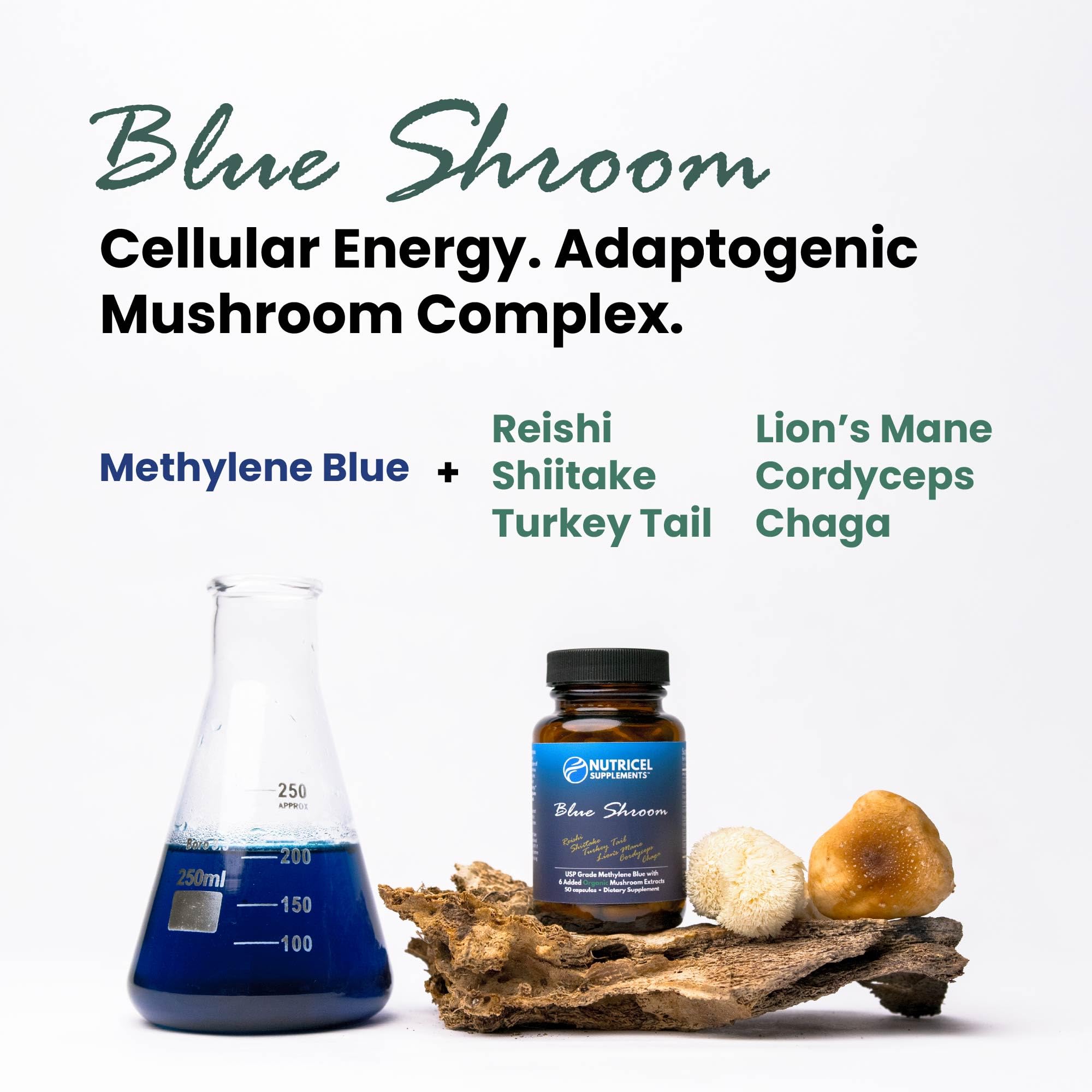 Nutricel Methylene Blue with Mushroom Extracts binder of six mushrooms
