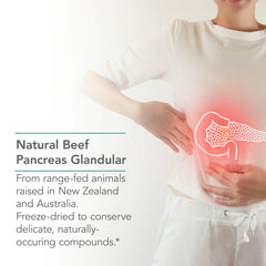 Nutricology Pancreas Pork glandular tissue image highlights preserved bioactivity.