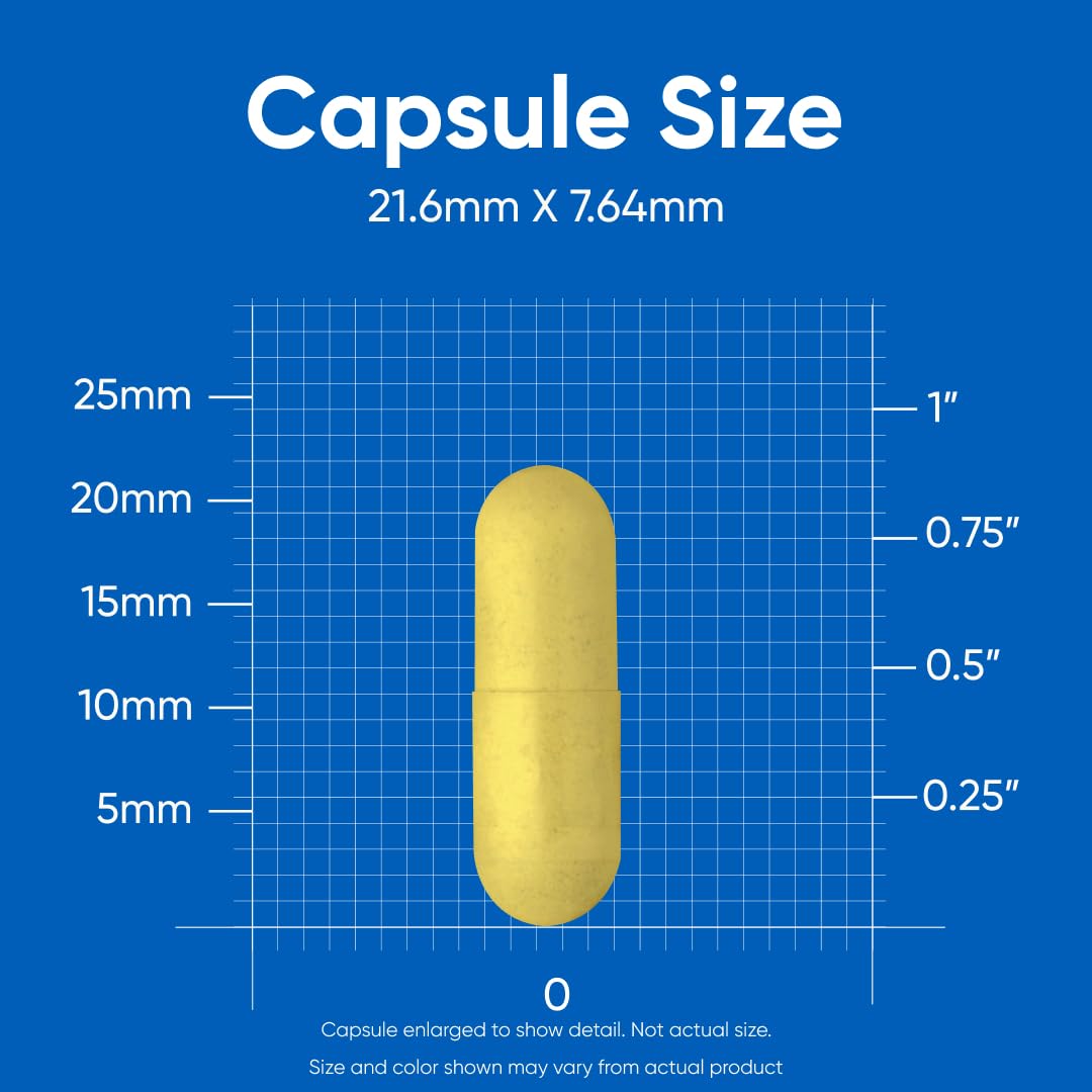 Nutricost bottle in bright light conveying a clean, reliable formulation