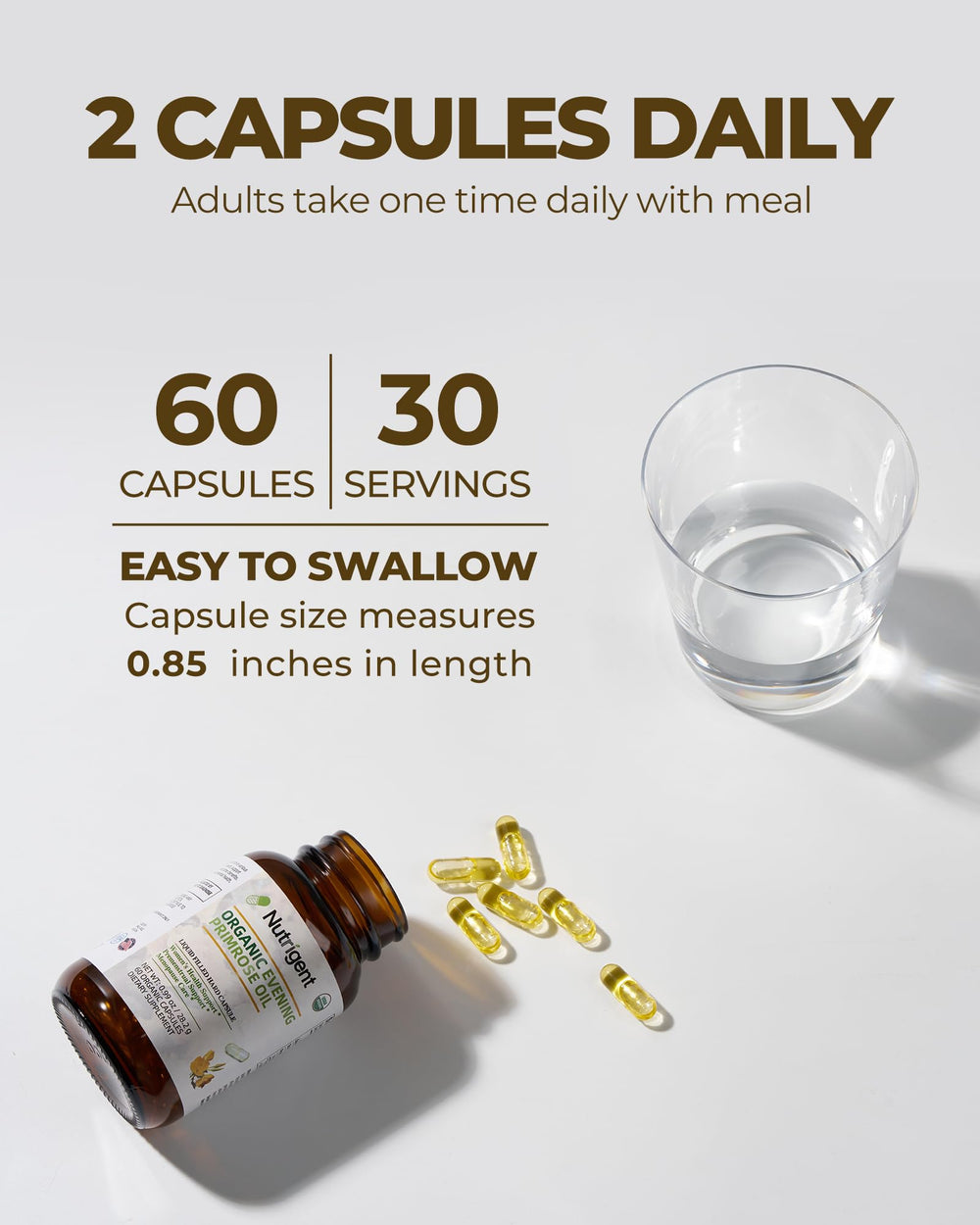 Nutrigent Cold-pressed primrose seeds origin preserving nutrients