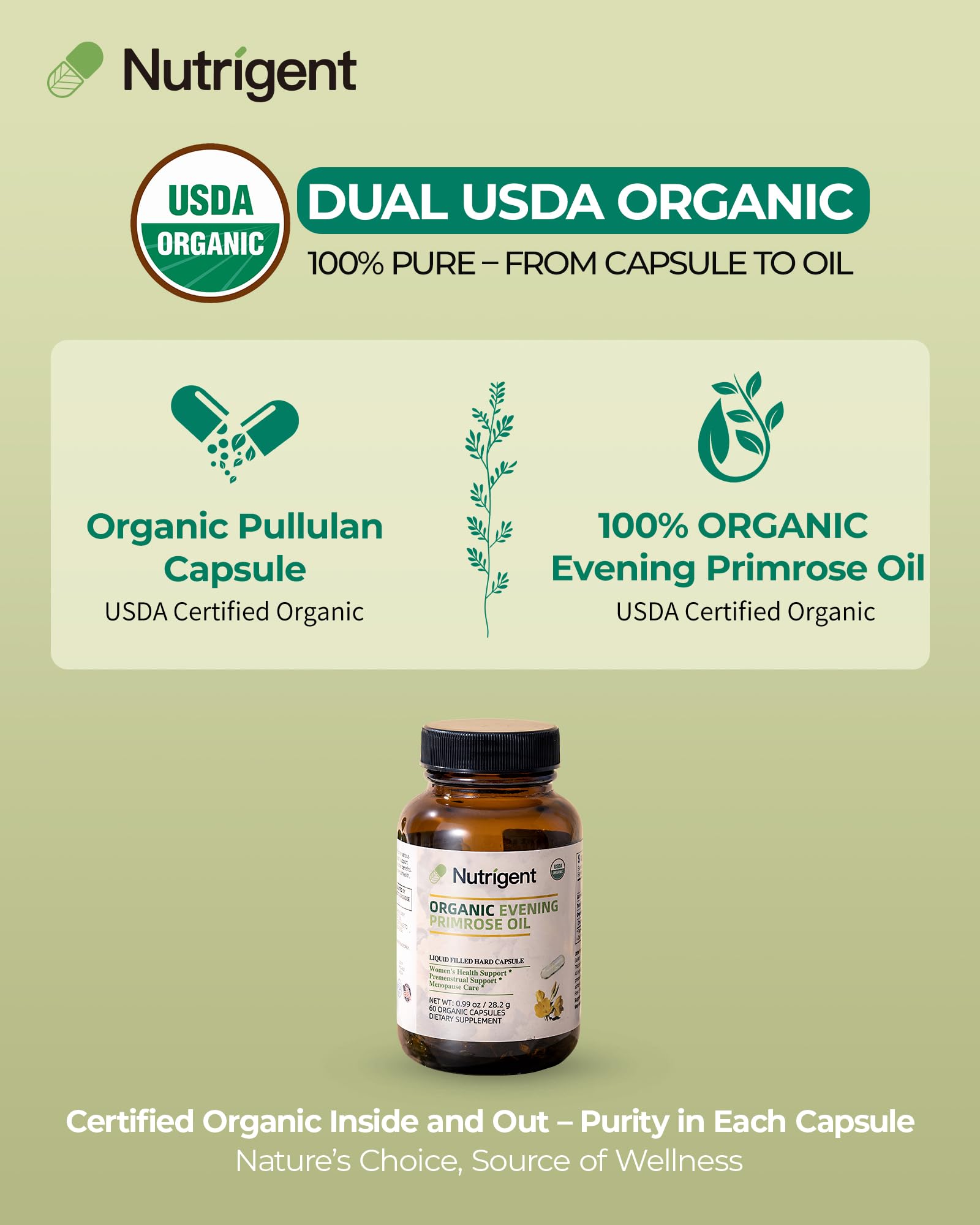 Nutrigent Evening Primrose Oil label with organic certification