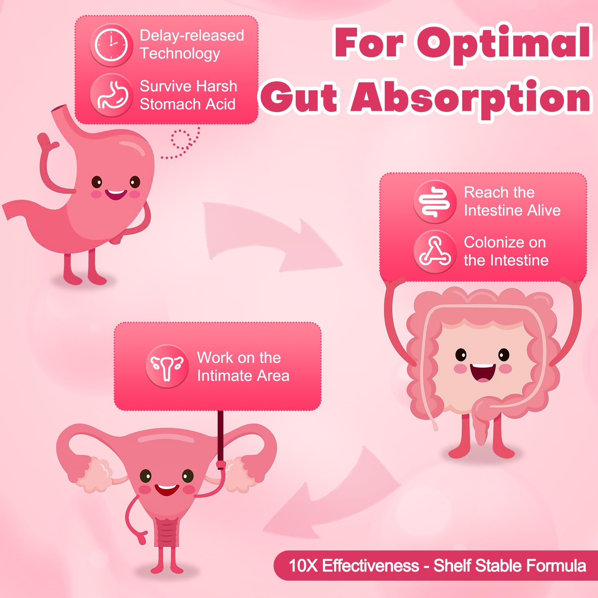 NutriGut Probiotics for Women digestive enzymes visualization for reduced gas and bloating
