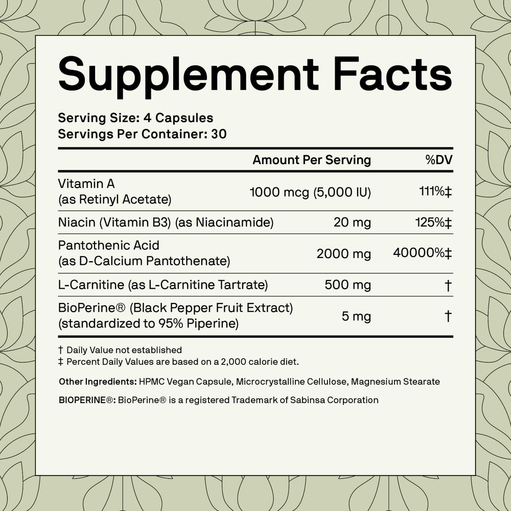 Nutriissa ACNEtane L-Carnitine capsule close-up for balanced skin