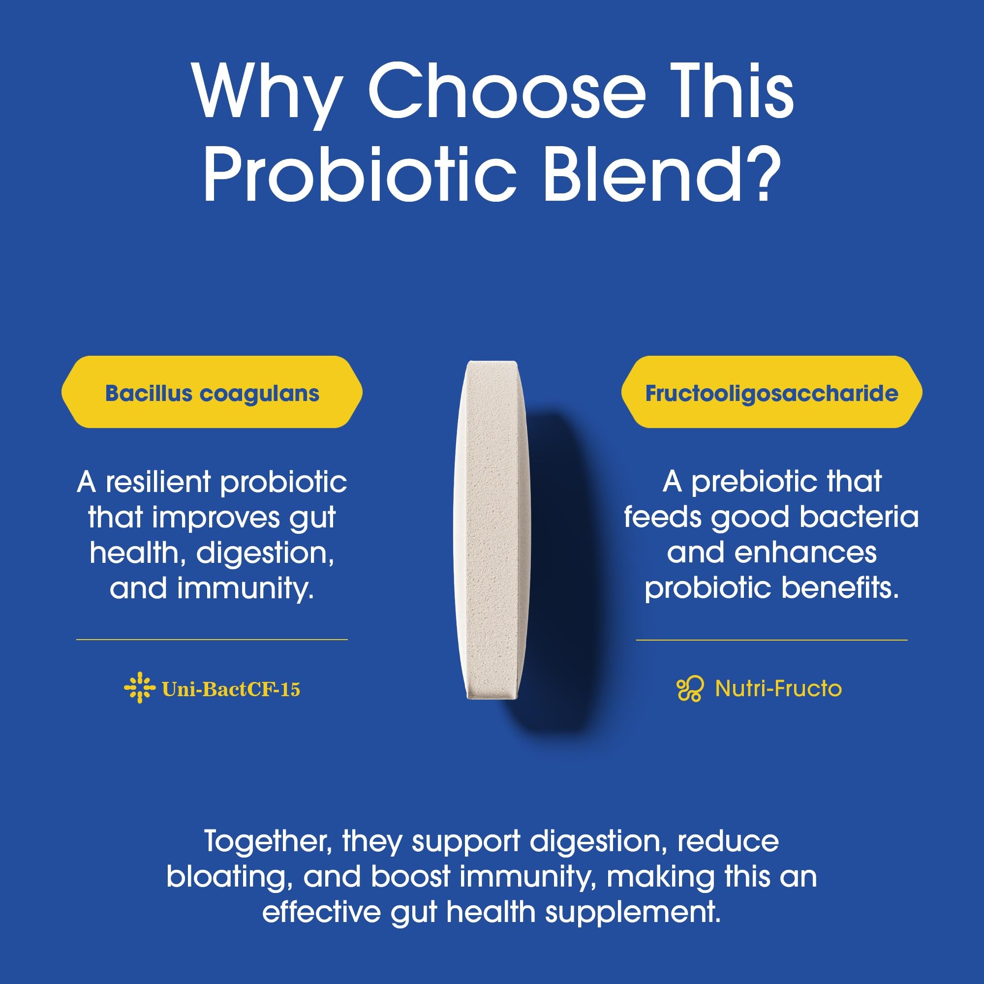 Nutrition Essentials probiotic capsules are compact for travel and daily routines