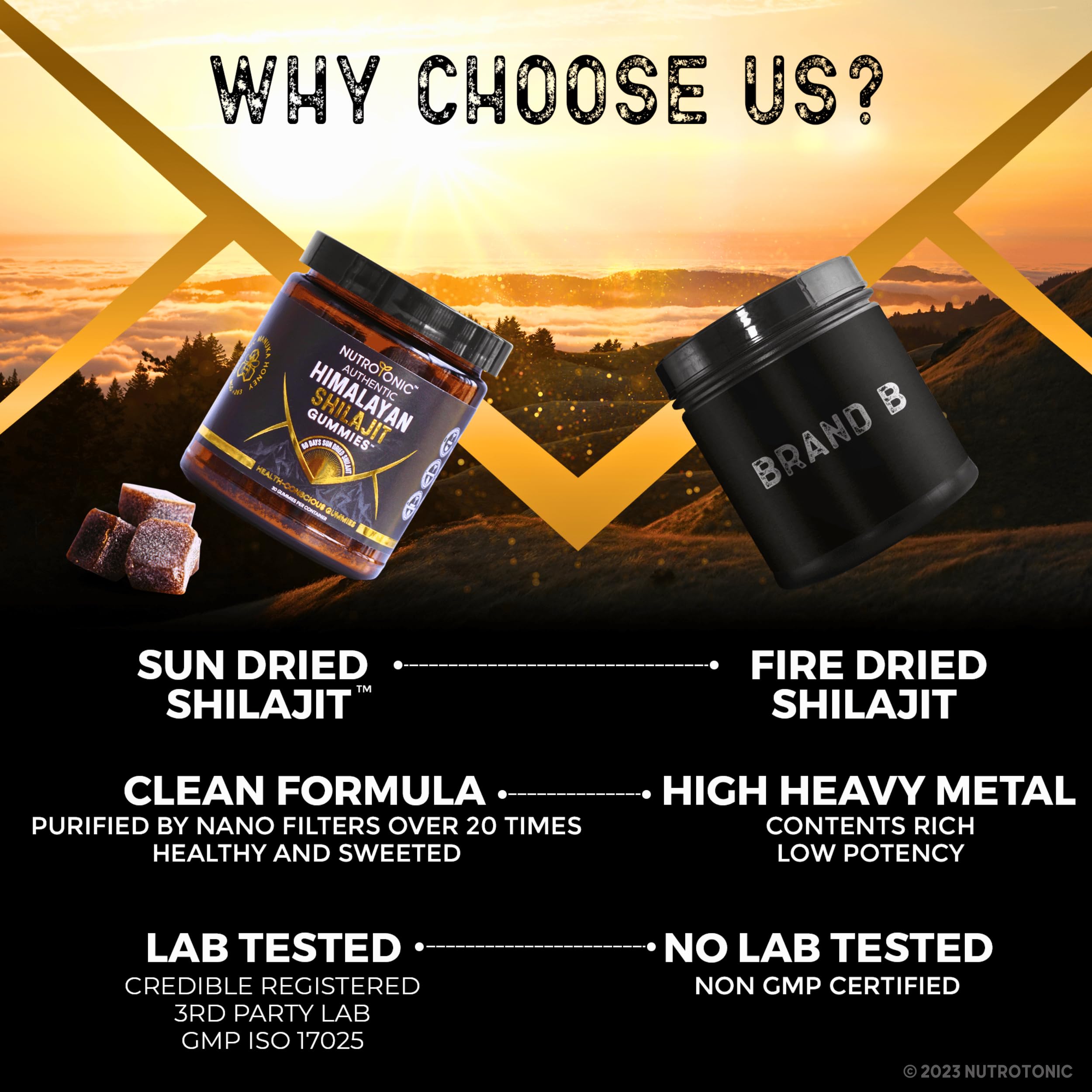 NutroTonic shilajit gummies with honey note underlines premium sweetness.