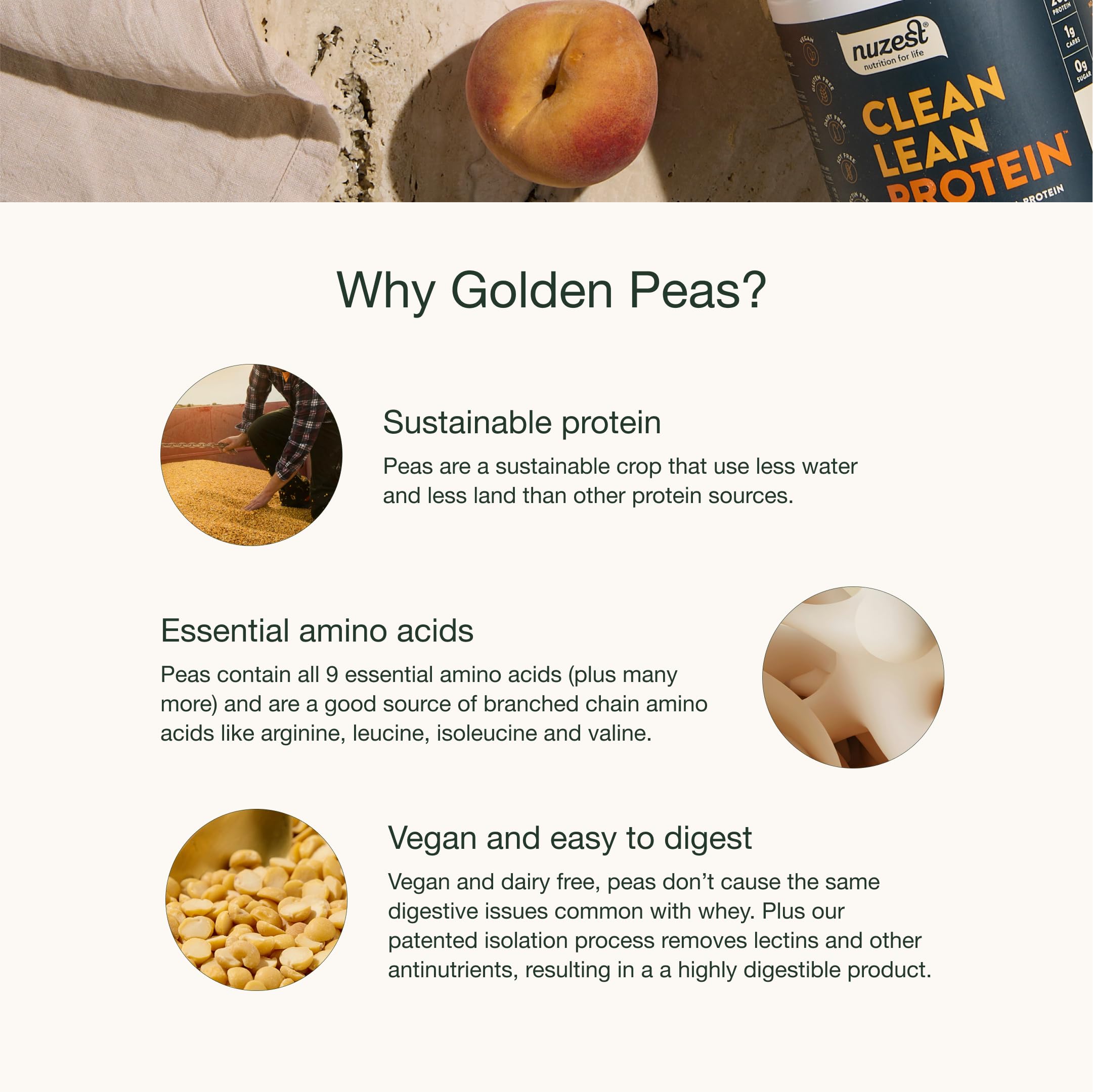 Nuzest vanilla smoothie with pea protein mix demonstrates low carb, high protein option.